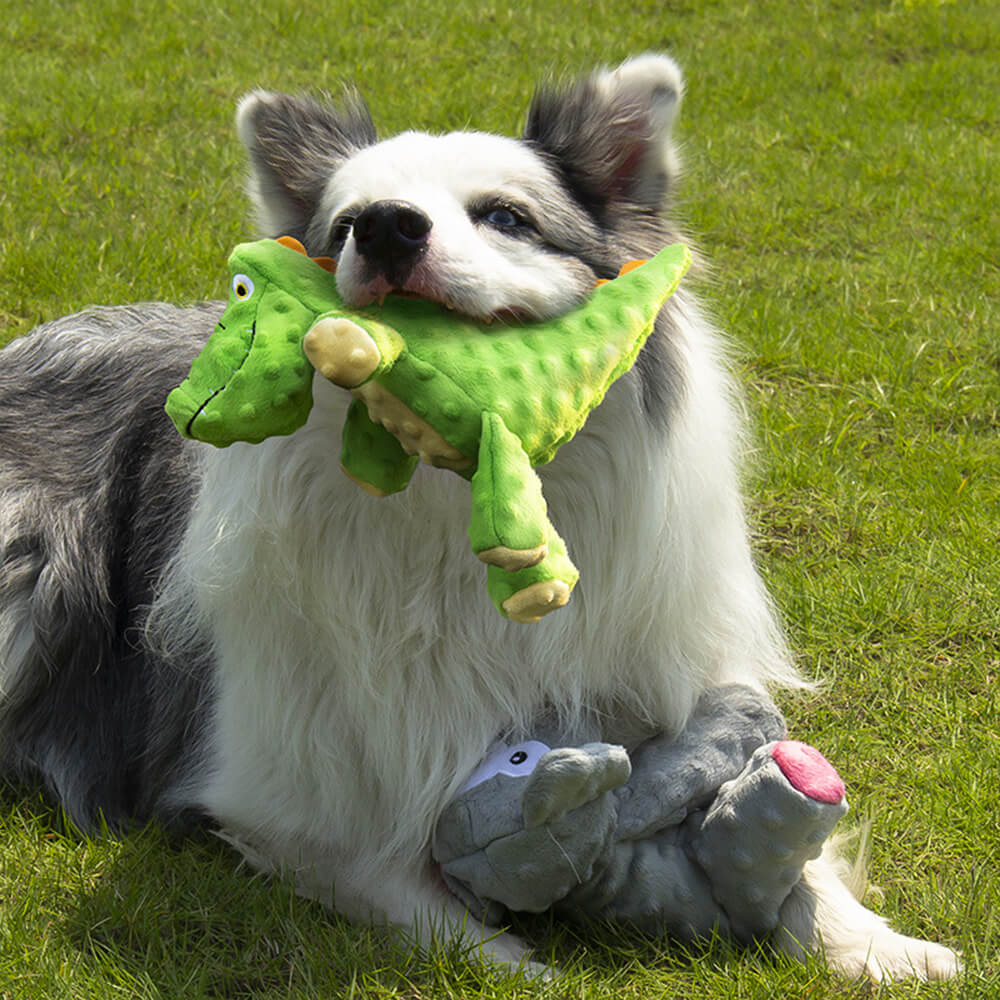 Durable Bite-Resistant Alligator Dog Toy with Squeaker