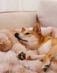 Fluffy Fuzzy Calming Dog Bed Sofa Protector Pet Mat - Pawhearth
