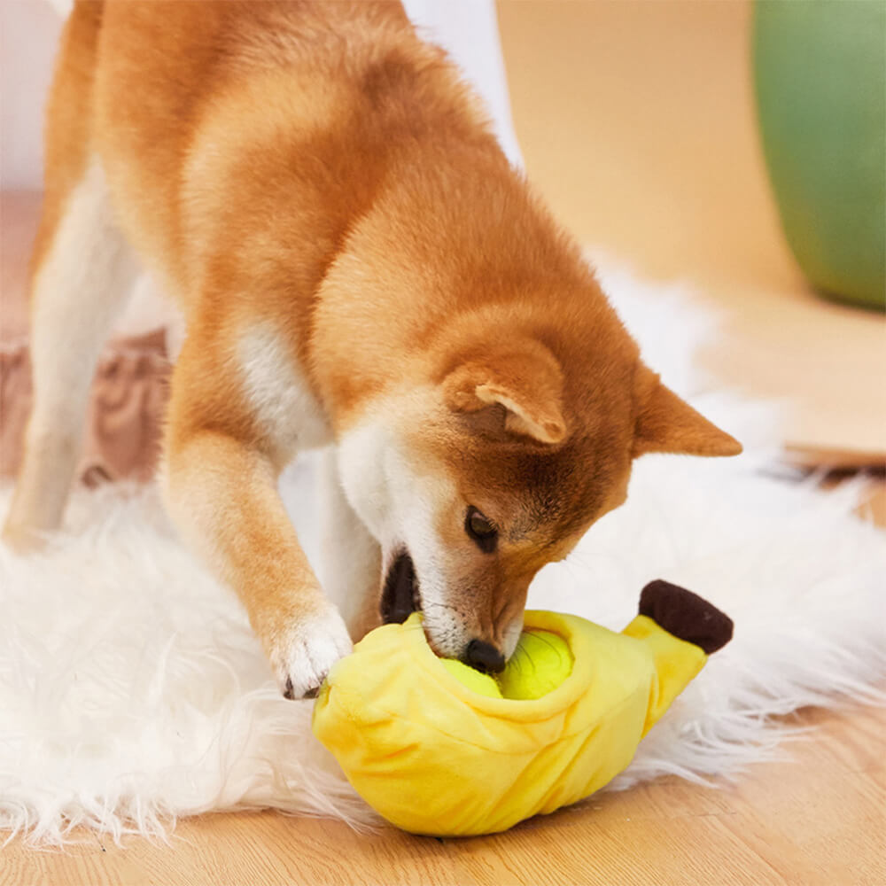 Tennis Ball Dog Toy – Food Hiding &amp; Teething Interactive Fun