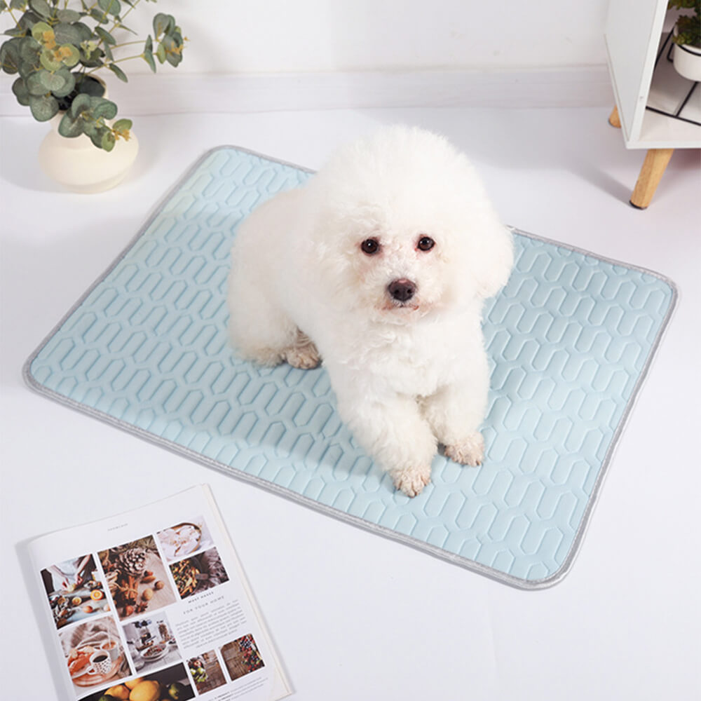 Cooling Ice Silk Dog &amp; Cat Mat – Washable, Non-Slip &amp; Breathable
