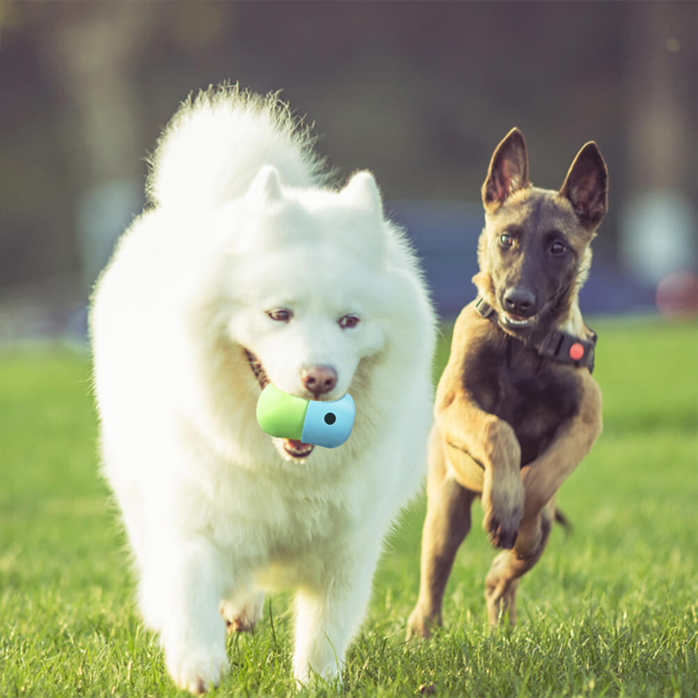Rolling Treat Ball – Interactive Silicone Dog Toy