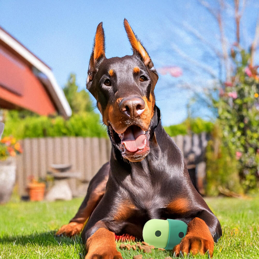 Rolling Treat Ball – Interactive Silicone Dog Toy