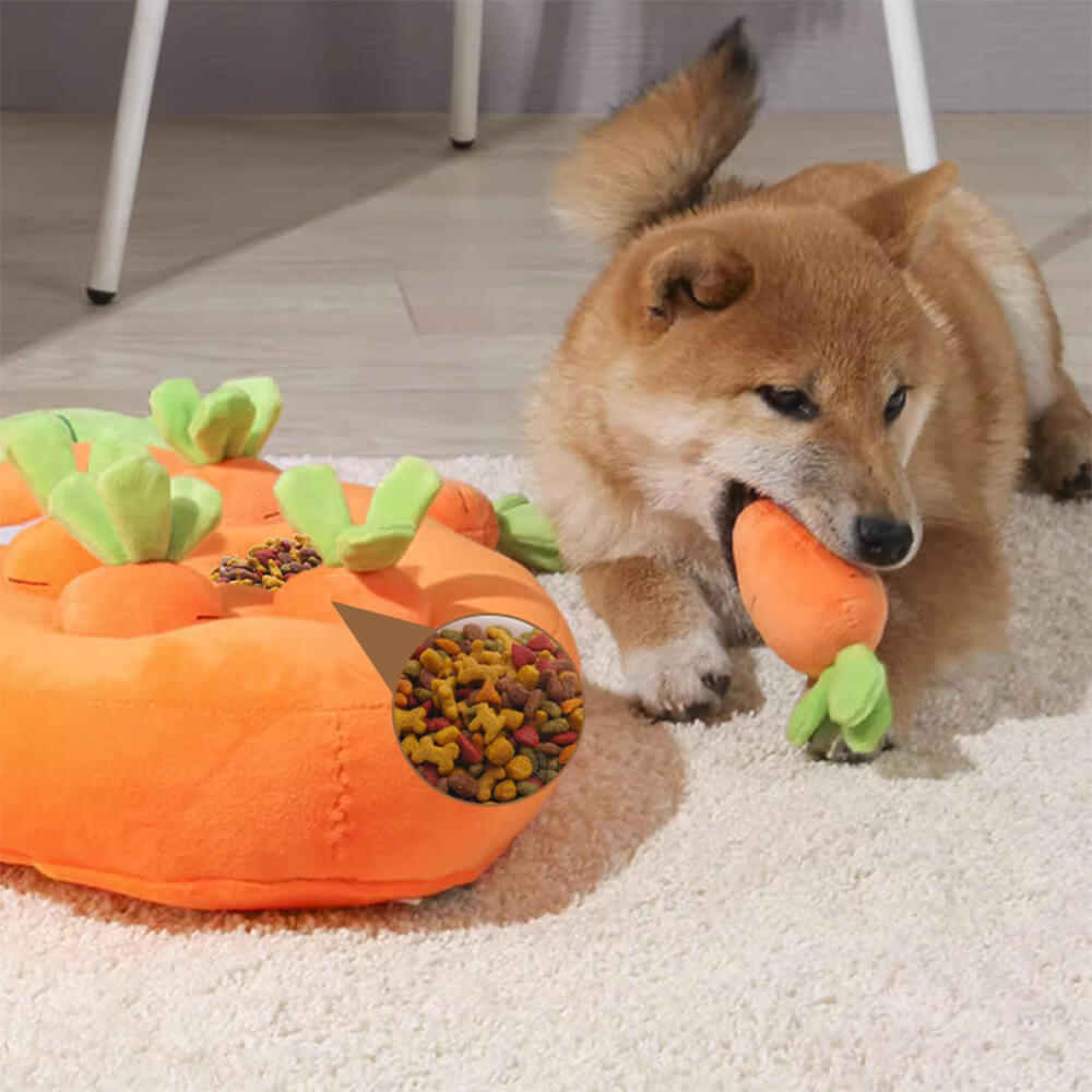 Squeaky Carrot Snuffle Toy – Interactive Enrichment for Dogs