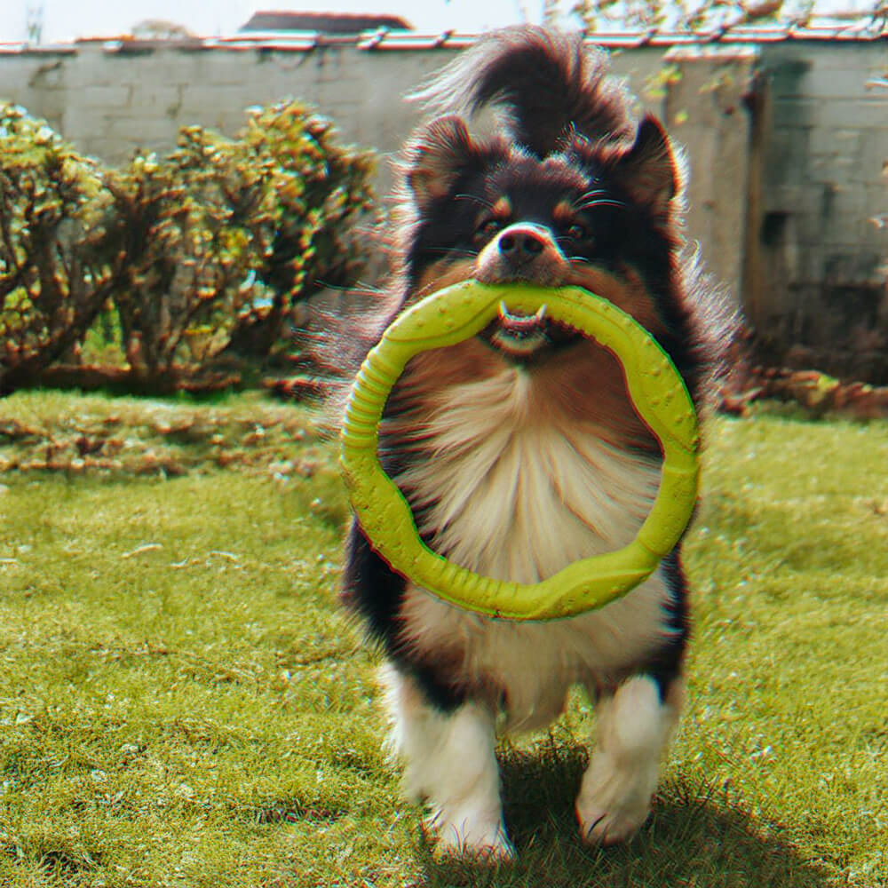 War Ring Durable Waterproof Lightweight Interactive Dog Toy