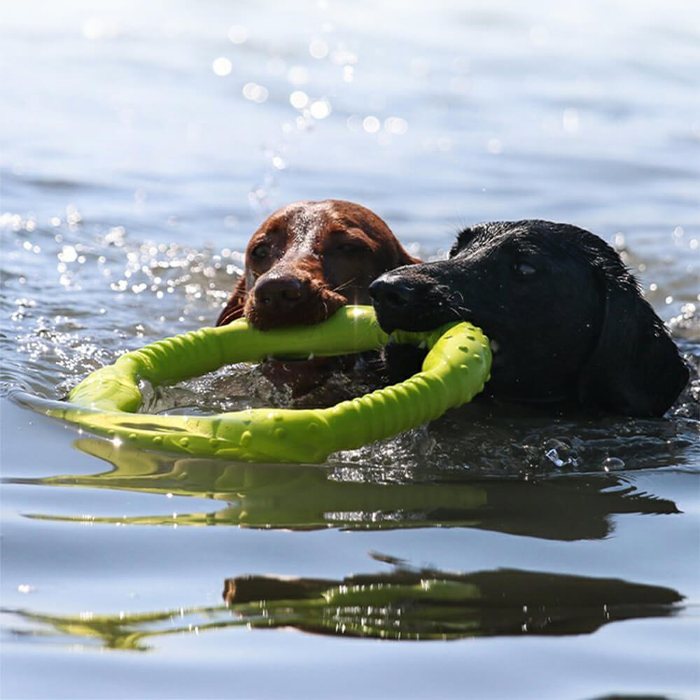War Ring Durable Waterproof Lightweight Interactive Dog Toy