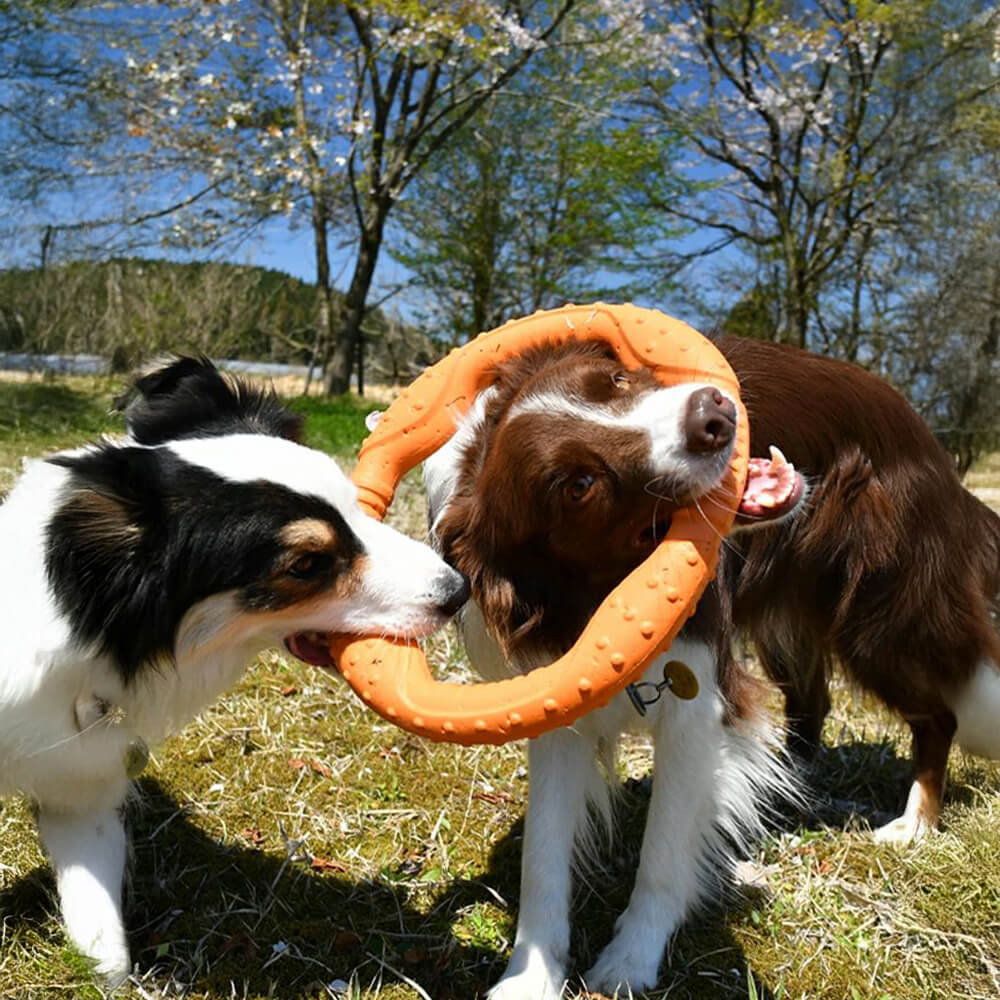 War Ring Durable Waterproof Lightweight Interactive Dog Toy