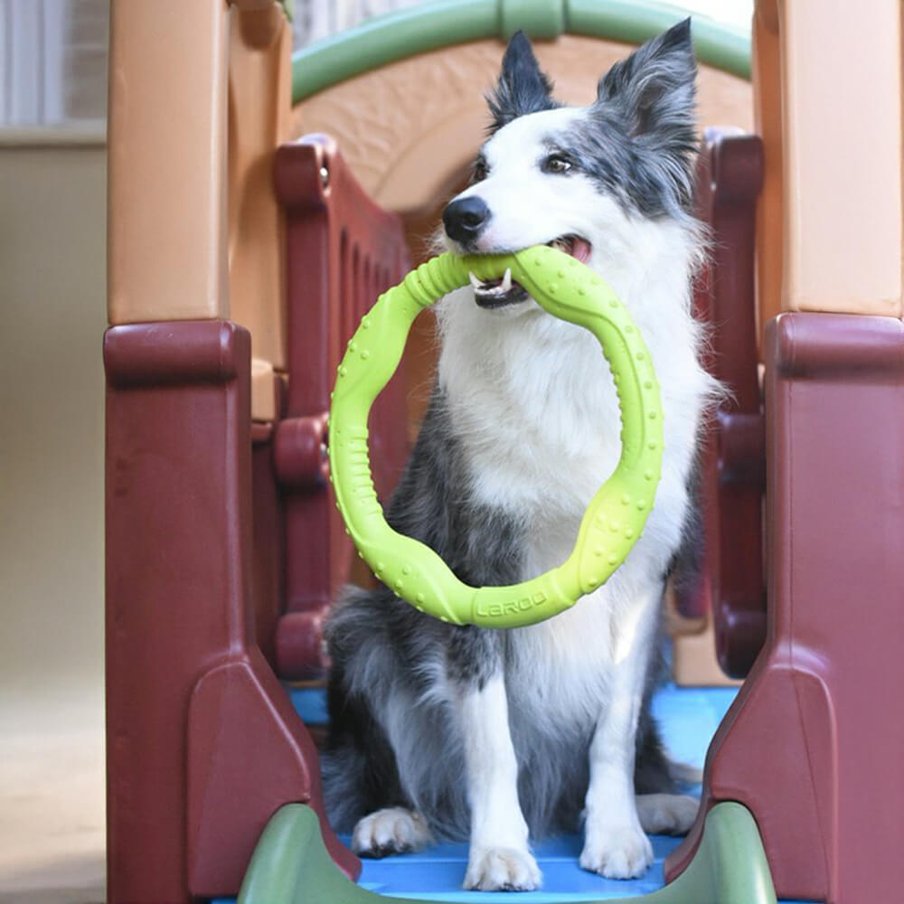 War Ring Durable Waterproof Lightweight Interactive Dog Toy