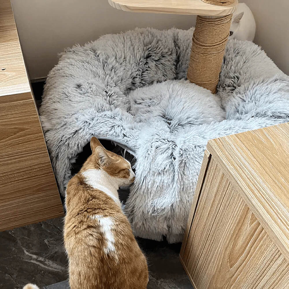 2-in-1 Foldable Soft Round Cat Tunnel Bed