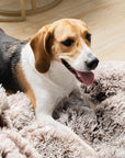 Large Round Dog Bed - Fuzzy Paw - Pawhearth