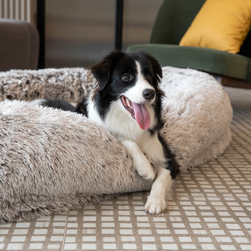 Luxuriöses, supergroßes Hundebett mit superweicher Haustier-Überwurfdecke