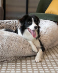 Luxuriöses, supergroßes Hundebett mit superweicher Haustier-Überwurfdecke