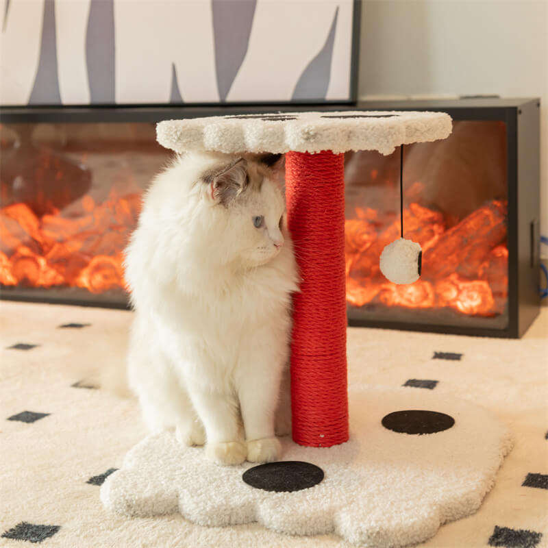 Gothic Design Cat Scratcher - Pawhearth