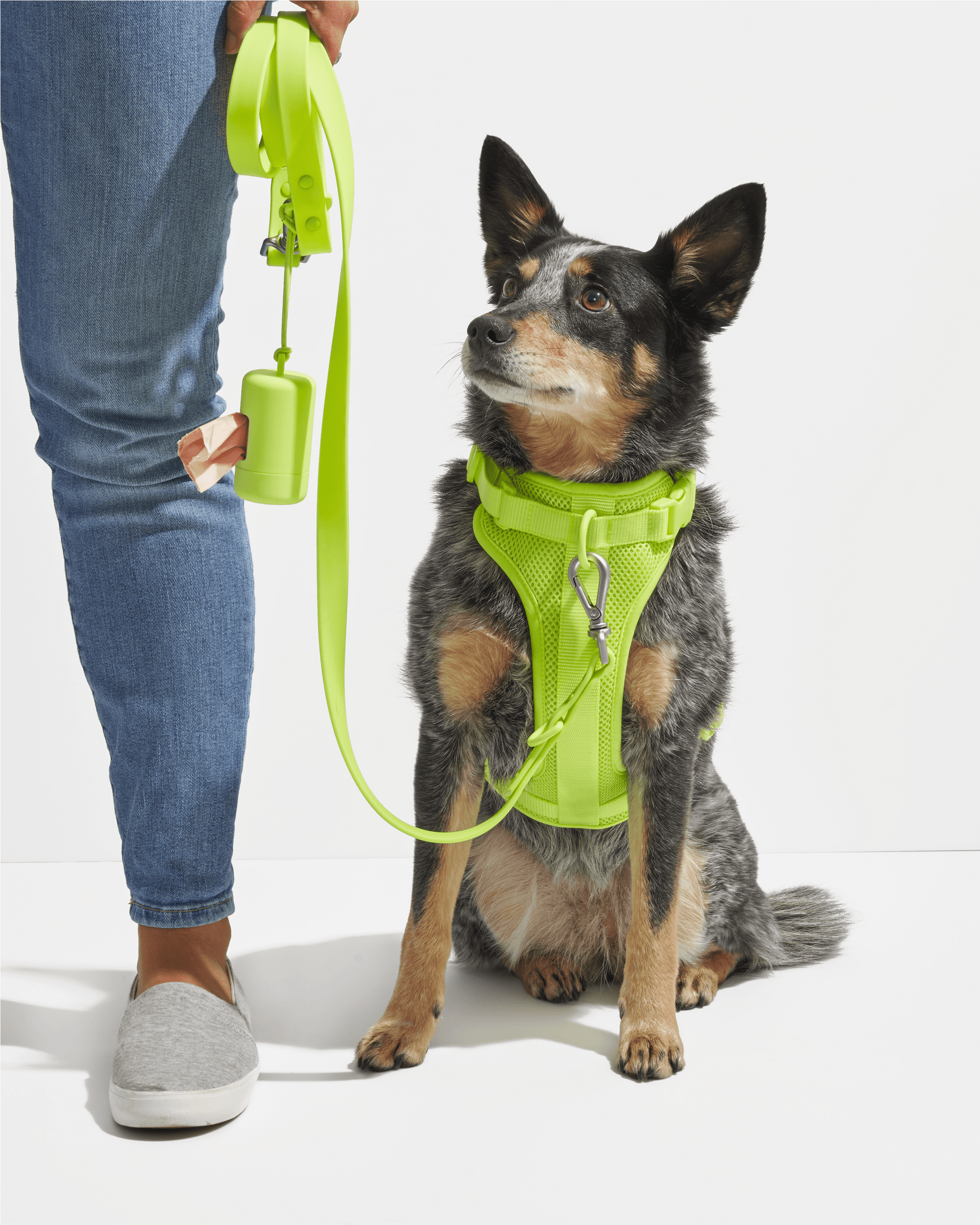 Durable Pet Leash – Comfortable &amp; Secure Walking Lead