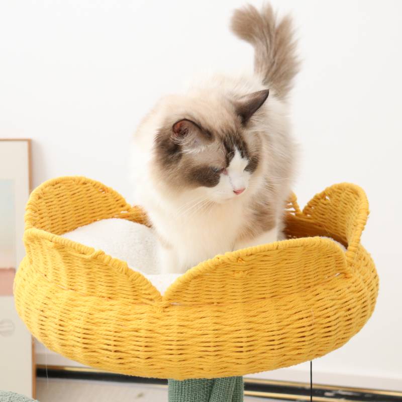 Yellow Tulip Cat Tree - Pawhearth