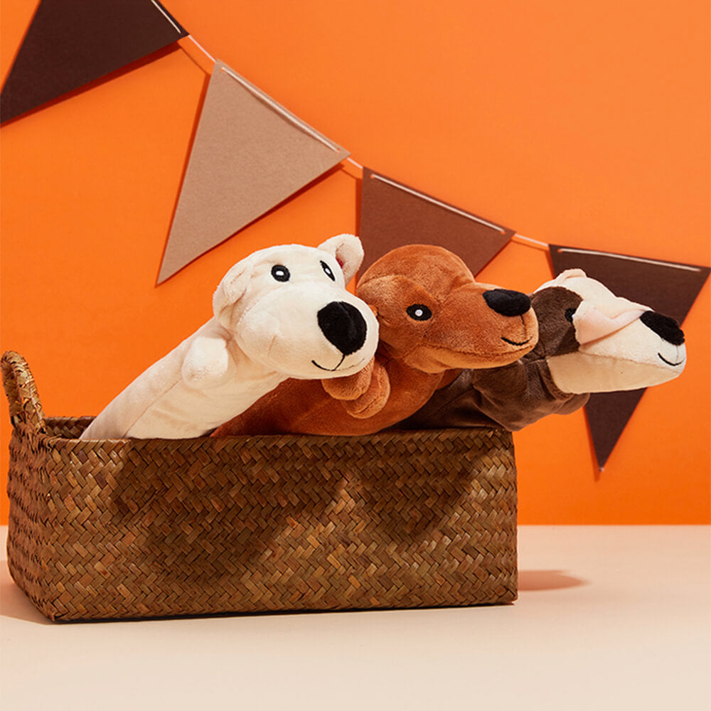 Durable Plush Squeaky Dog Chew Toy – Bite-Resistant Fun