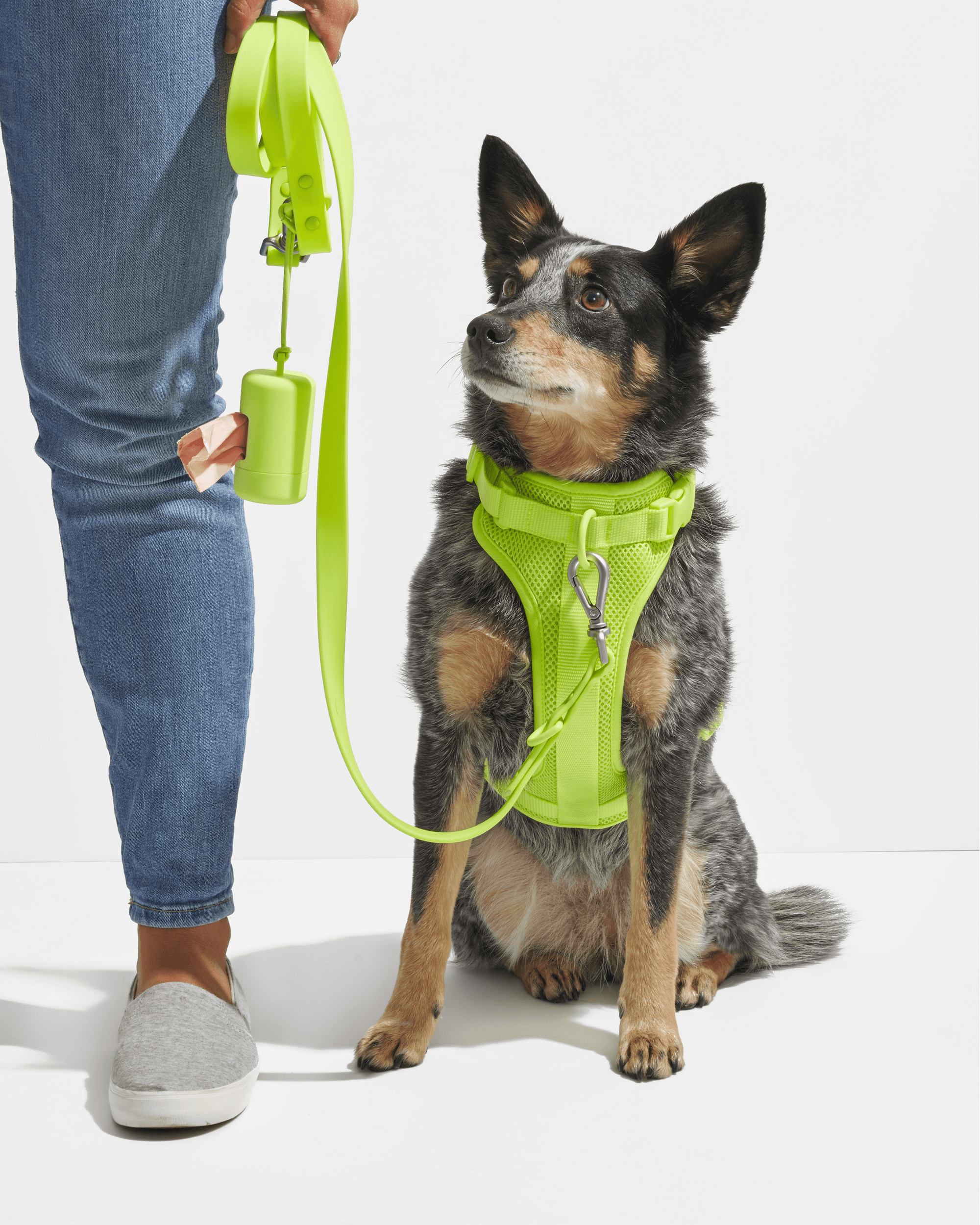 Poop Bag Carrier - Pawhearth