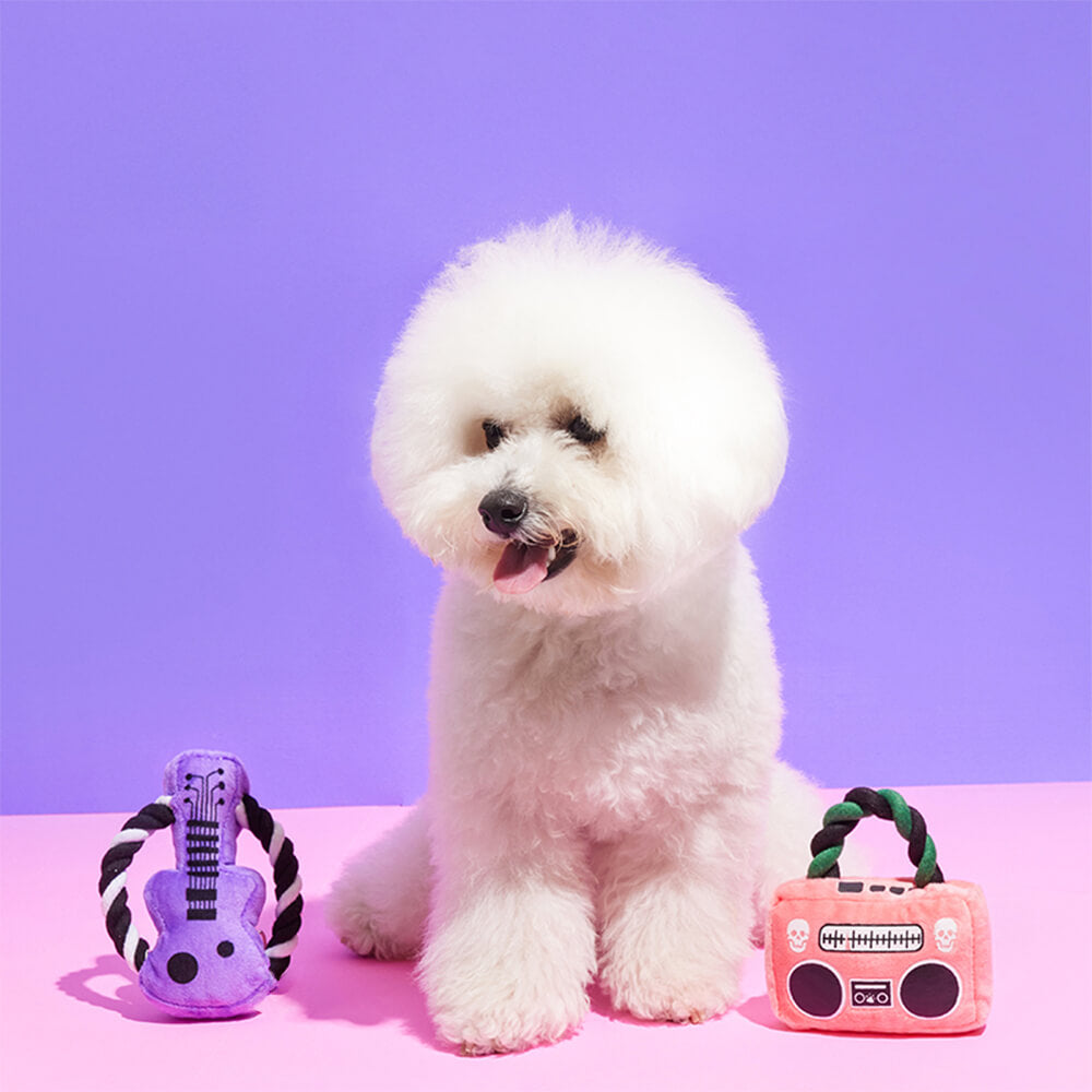 Rockstar Plush Guitar &amp; Boombox Dog Toy – Chew &amp; Play