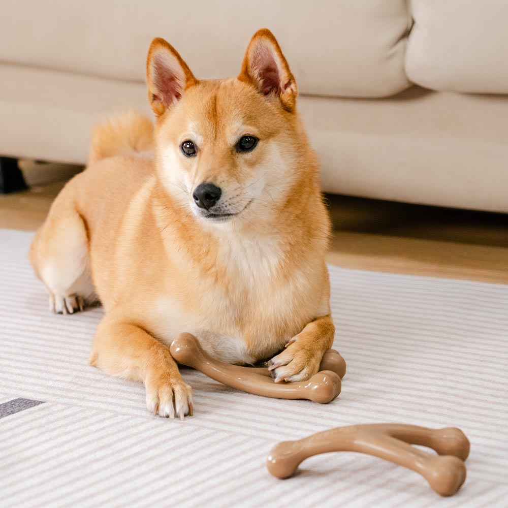 Bacon Dog Chew Bone Toy – Tasty &amp; Durable Chew Toy for Dogs