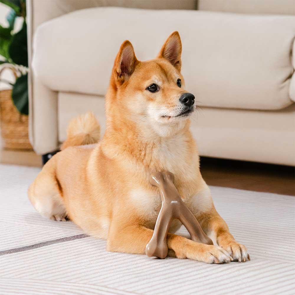 Bacon Dog Chew Bone Toy – Tasty &amp; Durable Chew Toy for Dogs