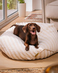 Trendy Striped Pattern Polygonal  Calming Bean Bag Dog Bed