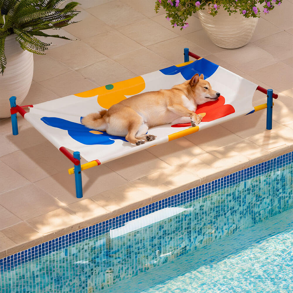 Vibrant Summer Print Style Aluminum Elevated Dog Bed - Summer Paradise - Pawhearth