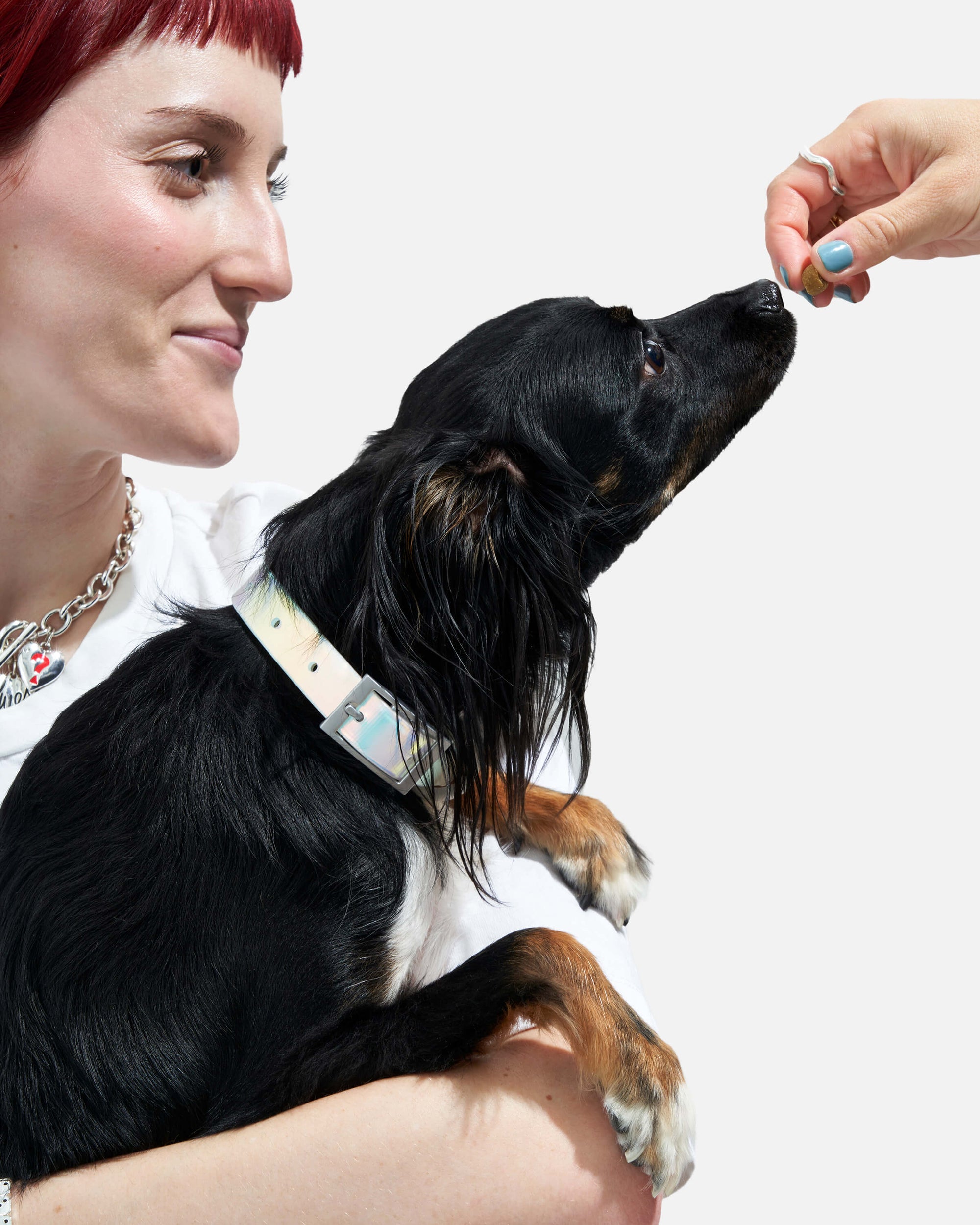 Adjustable Pet Collar – Durable &amp; Comfortable for Dogs &amp; Cats