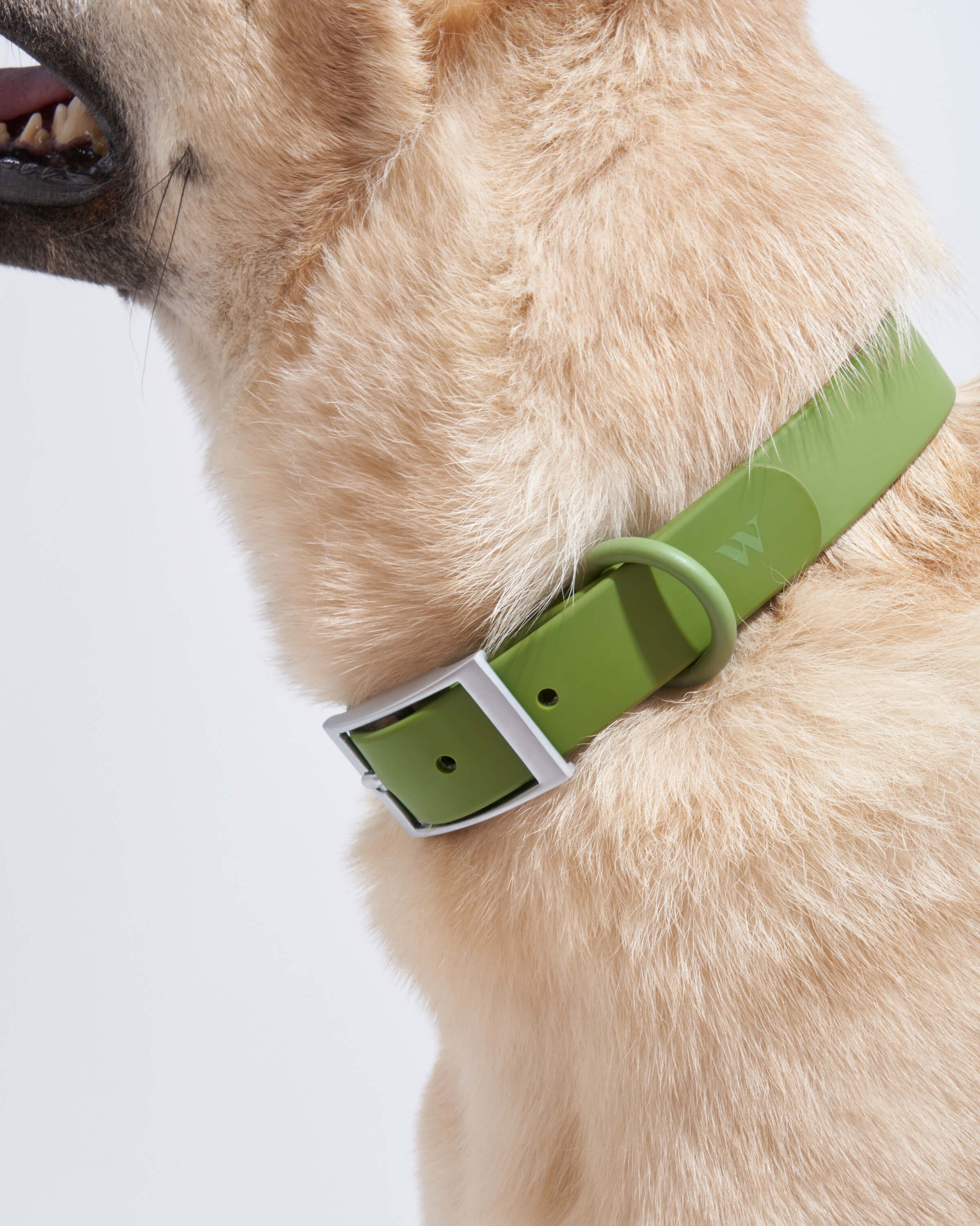 Adjustable Pet Collar – Durable &amp; Comfortable for Dogs &amp; Cats