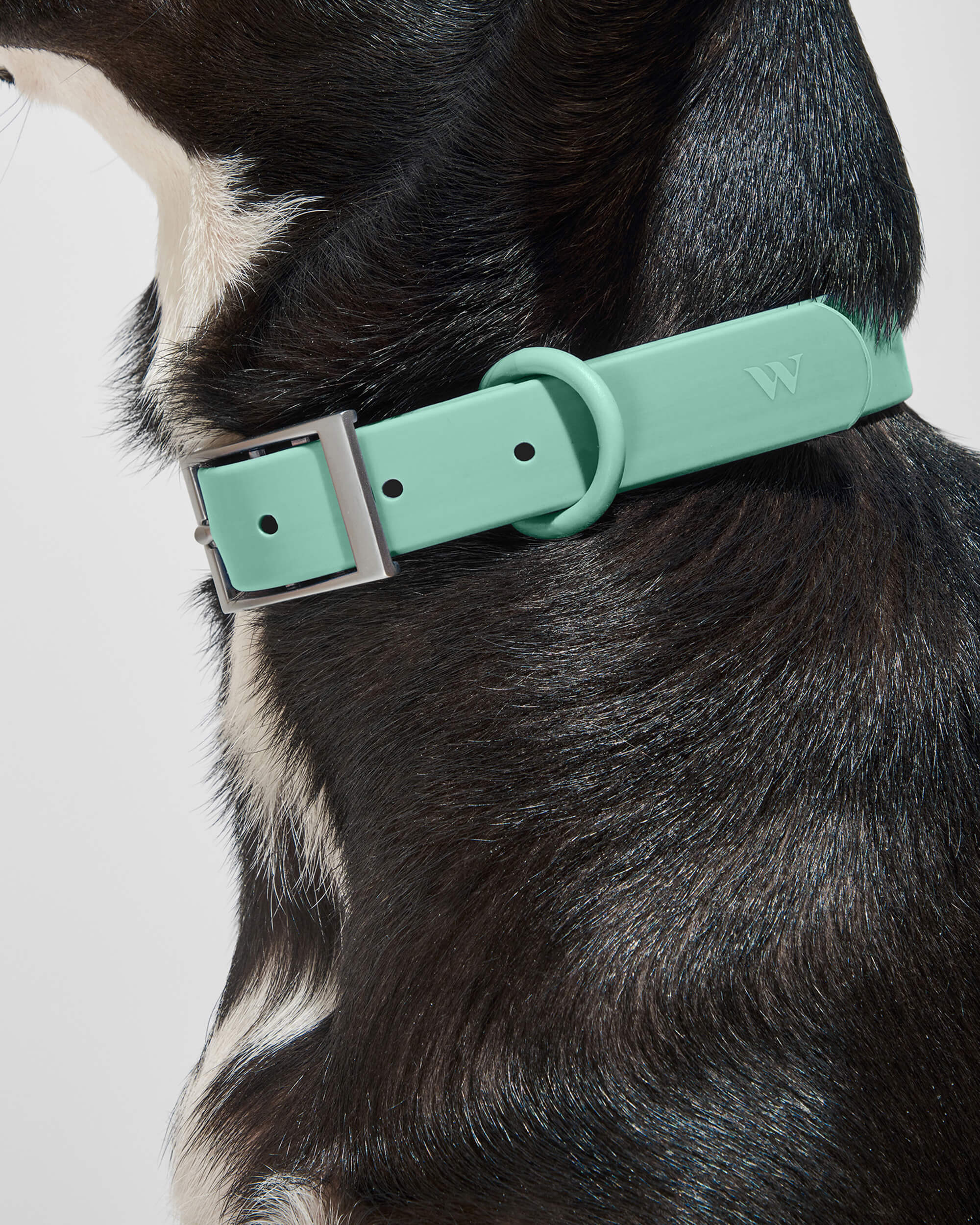 Adjustable Pet Collar – Durable &amp; Comfortable for Dogs &amp; Cats