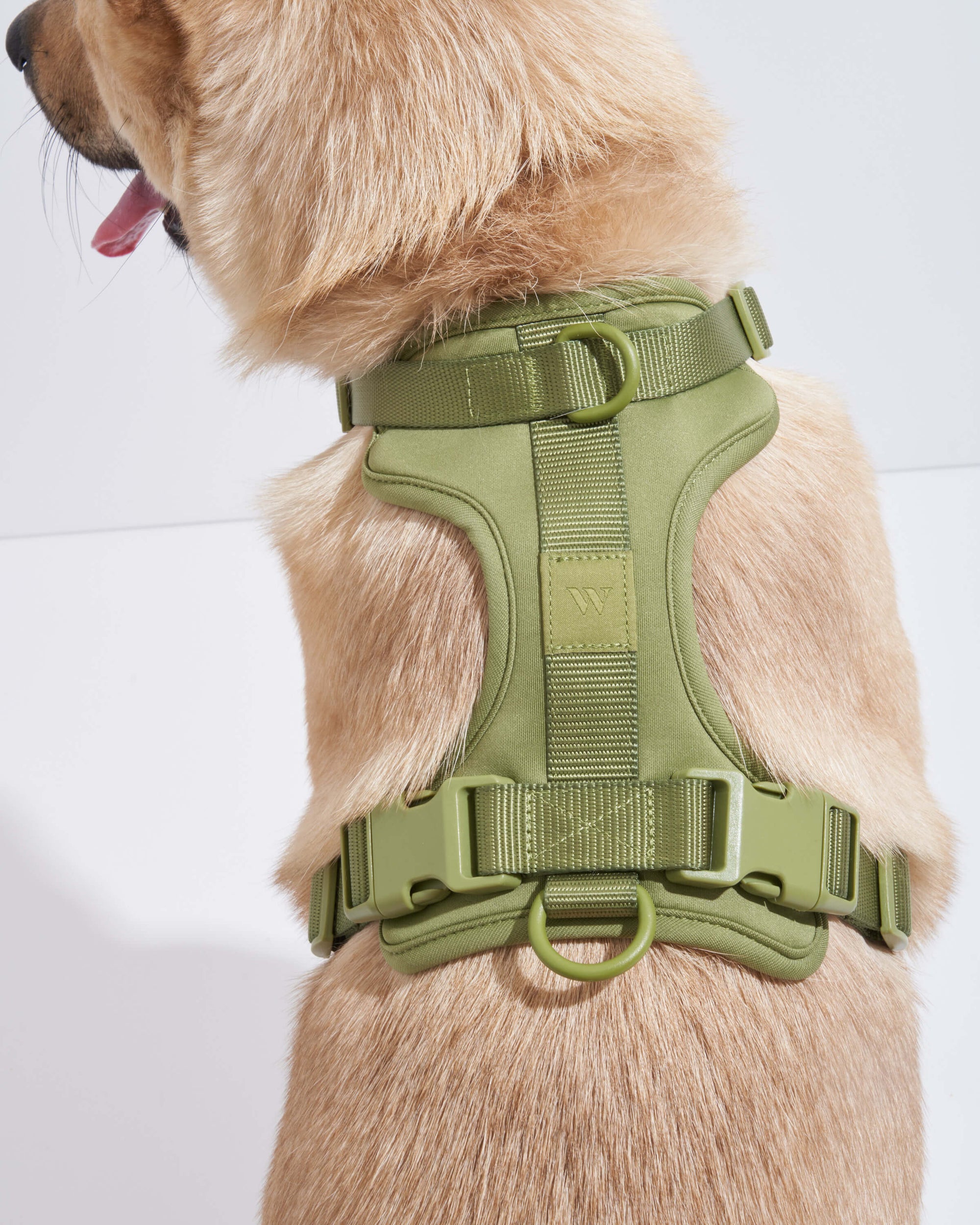 Adjustable Pet Harness – Comfortable &amp; Secure for Dogs &amp; Cats