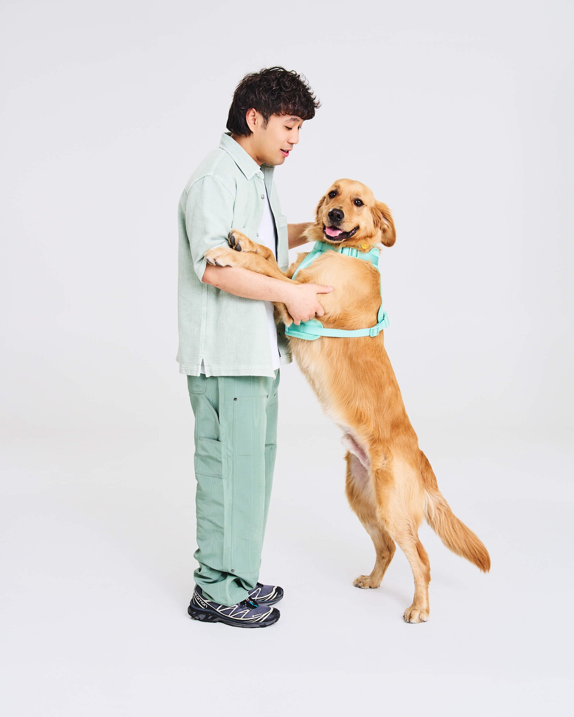 Adjustable Pet Harness – Comfortable &amp; Secure for Dogs &amp; Cats