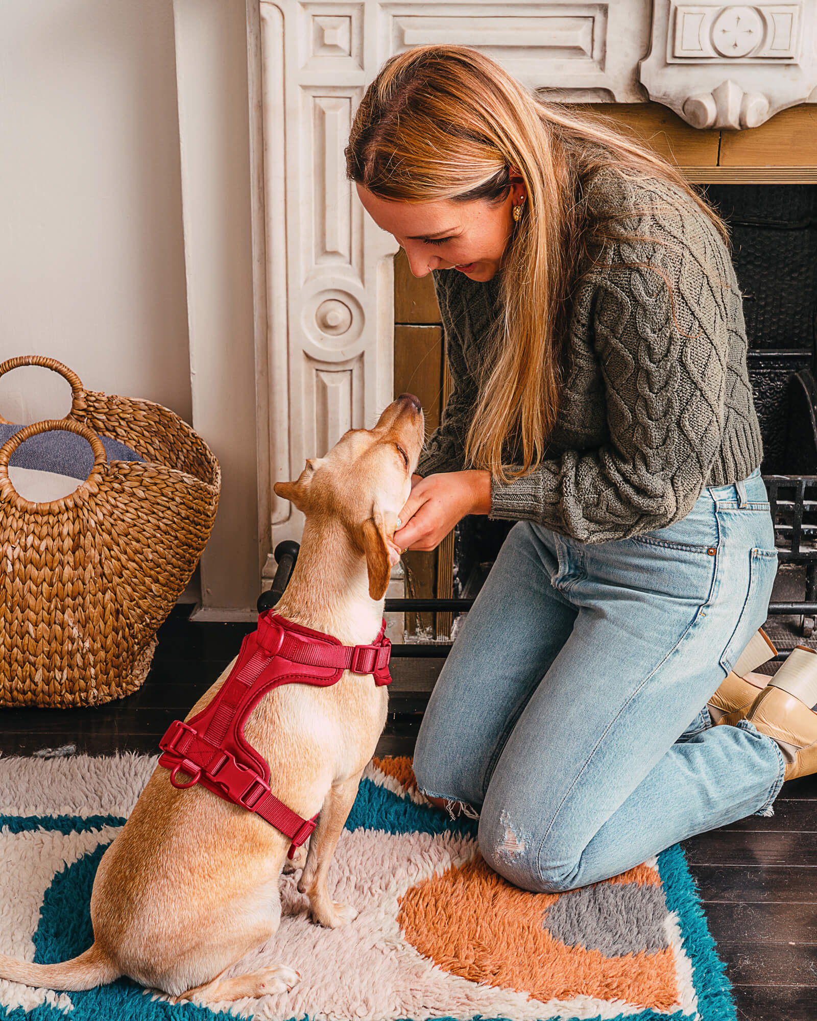 Adjustable Pet Harness – Comfortable &amp; Secure for Dogs &amp; Cats