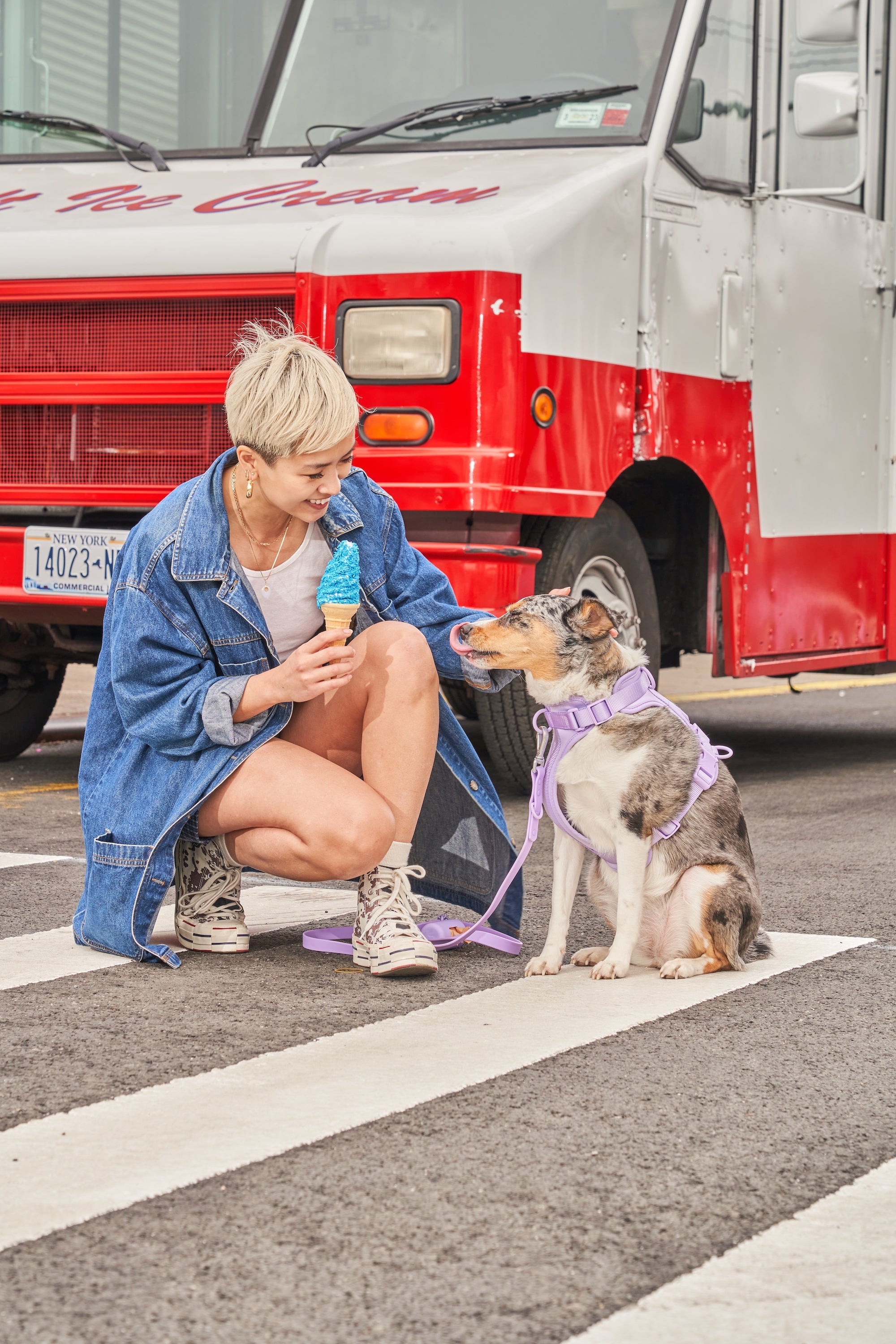 Adjustable Pet Harness – Comfortable &amp; Secure for Dogs &amp; Cats