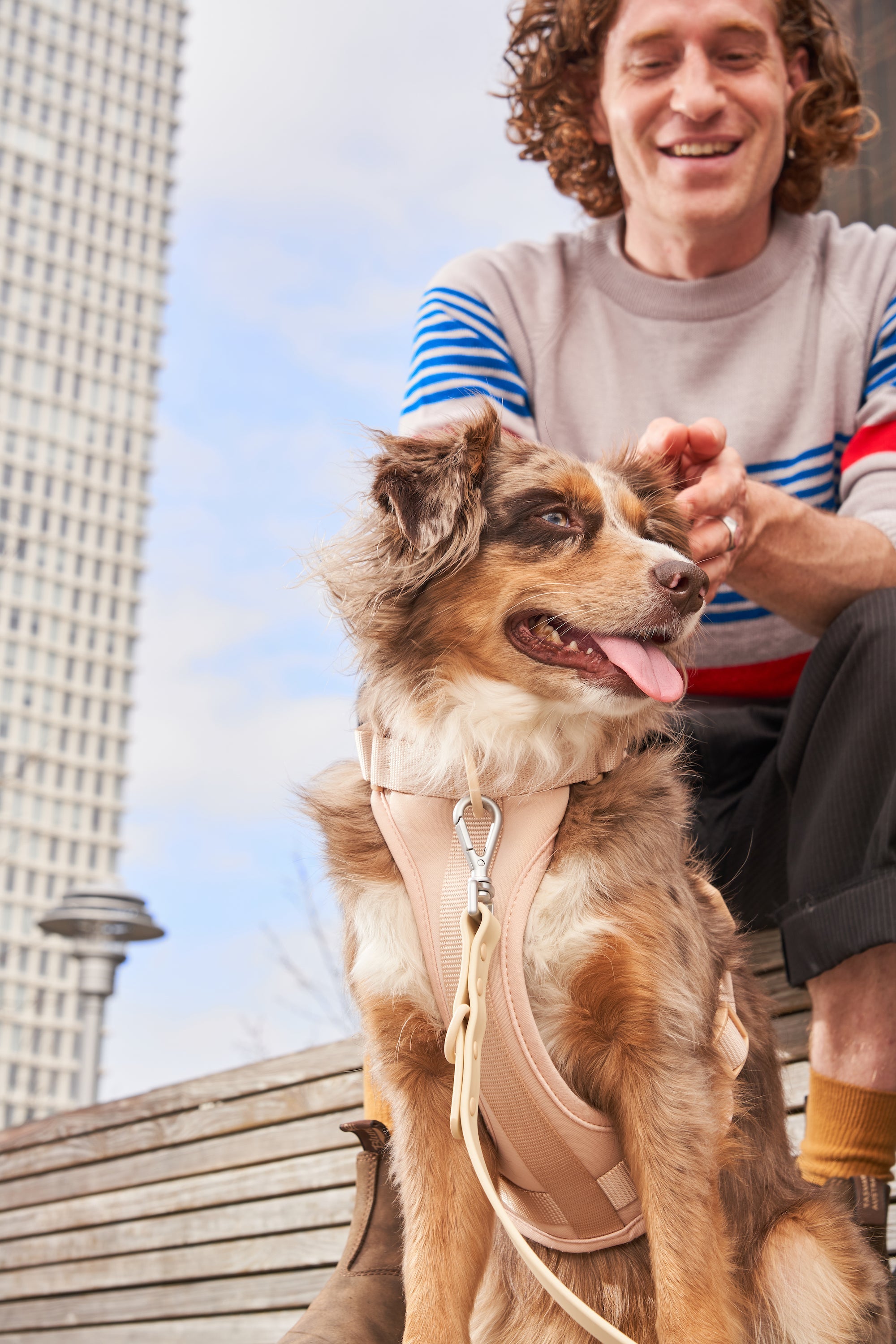 Adjustable Pet Harness – Comfortable &amp; Secure for Dogs &amp; Cats