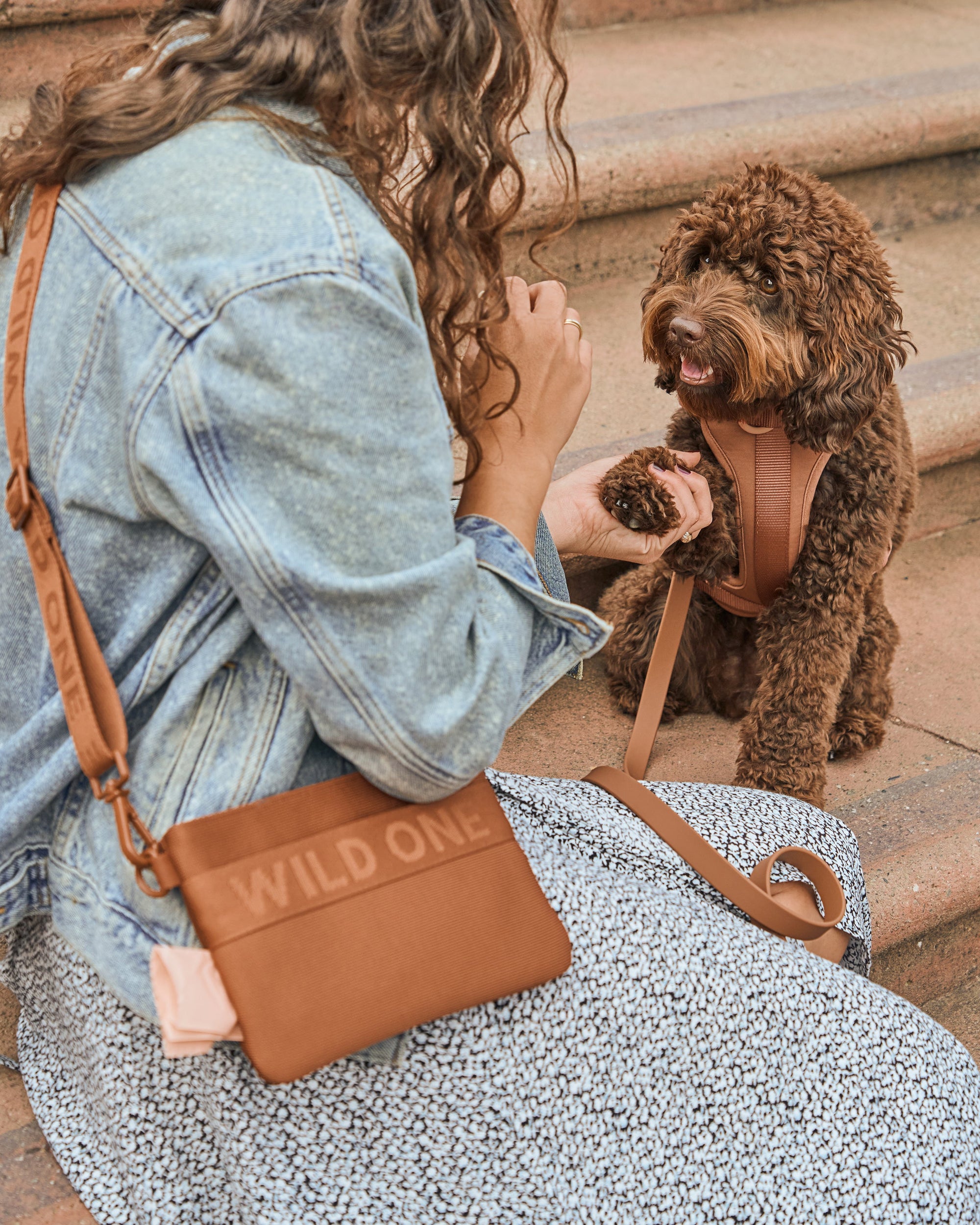 Adjustable Pet Harness – Comfortable &amp; Secure for Dogs &amp; Cats