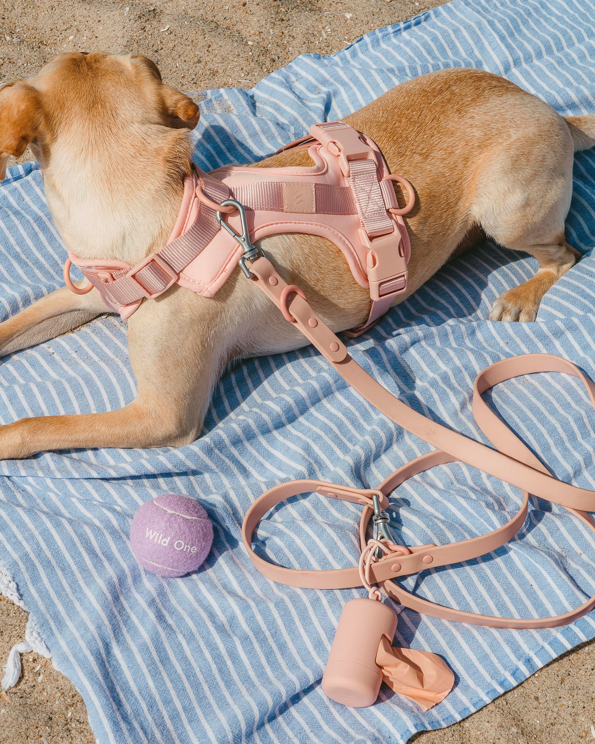 Adjustable Pet Harness – Comfortable &amp; Secure for Dogs &amp; Cats
