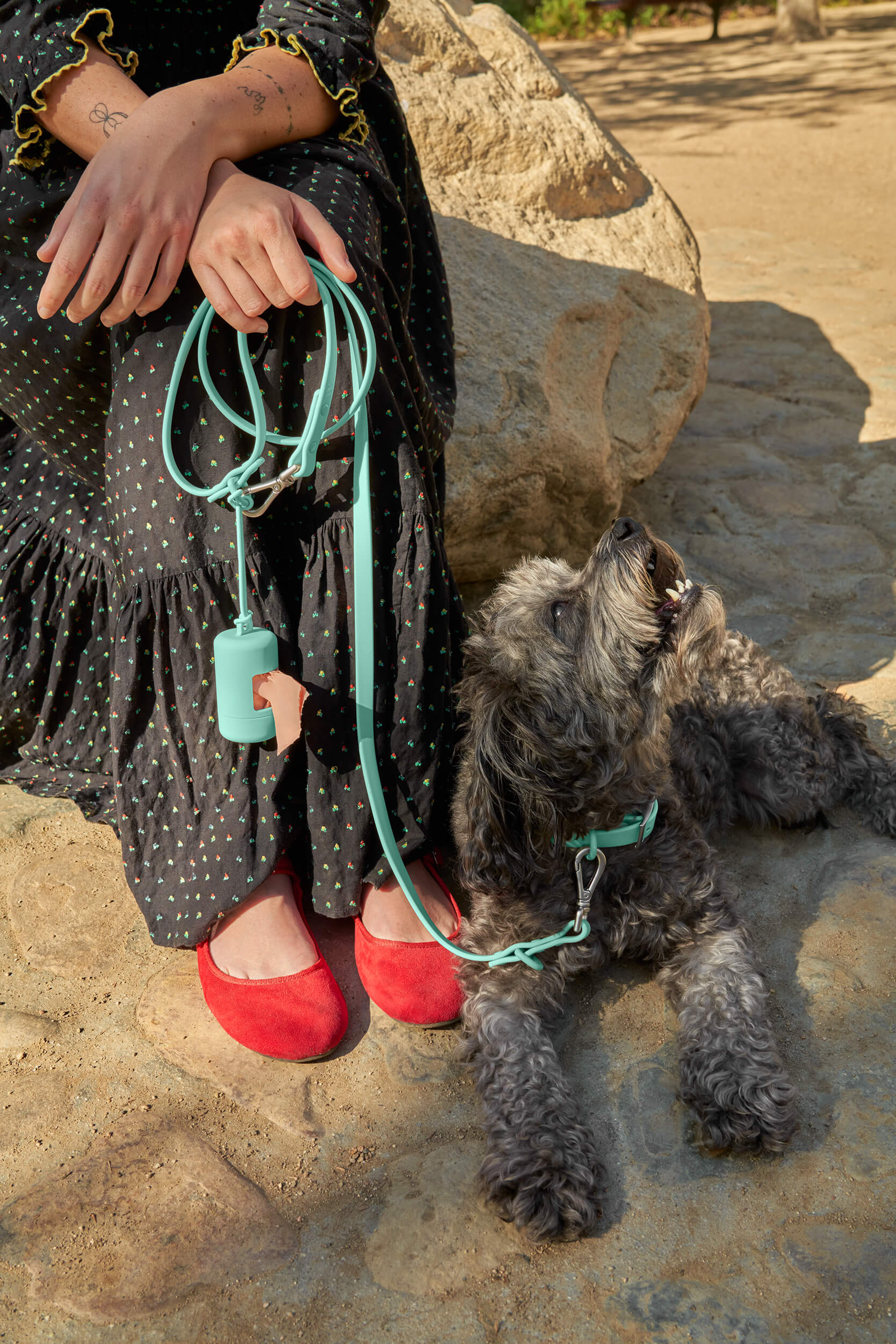 Poop Bag Carrier – Portable Dog Waste Bag Holder