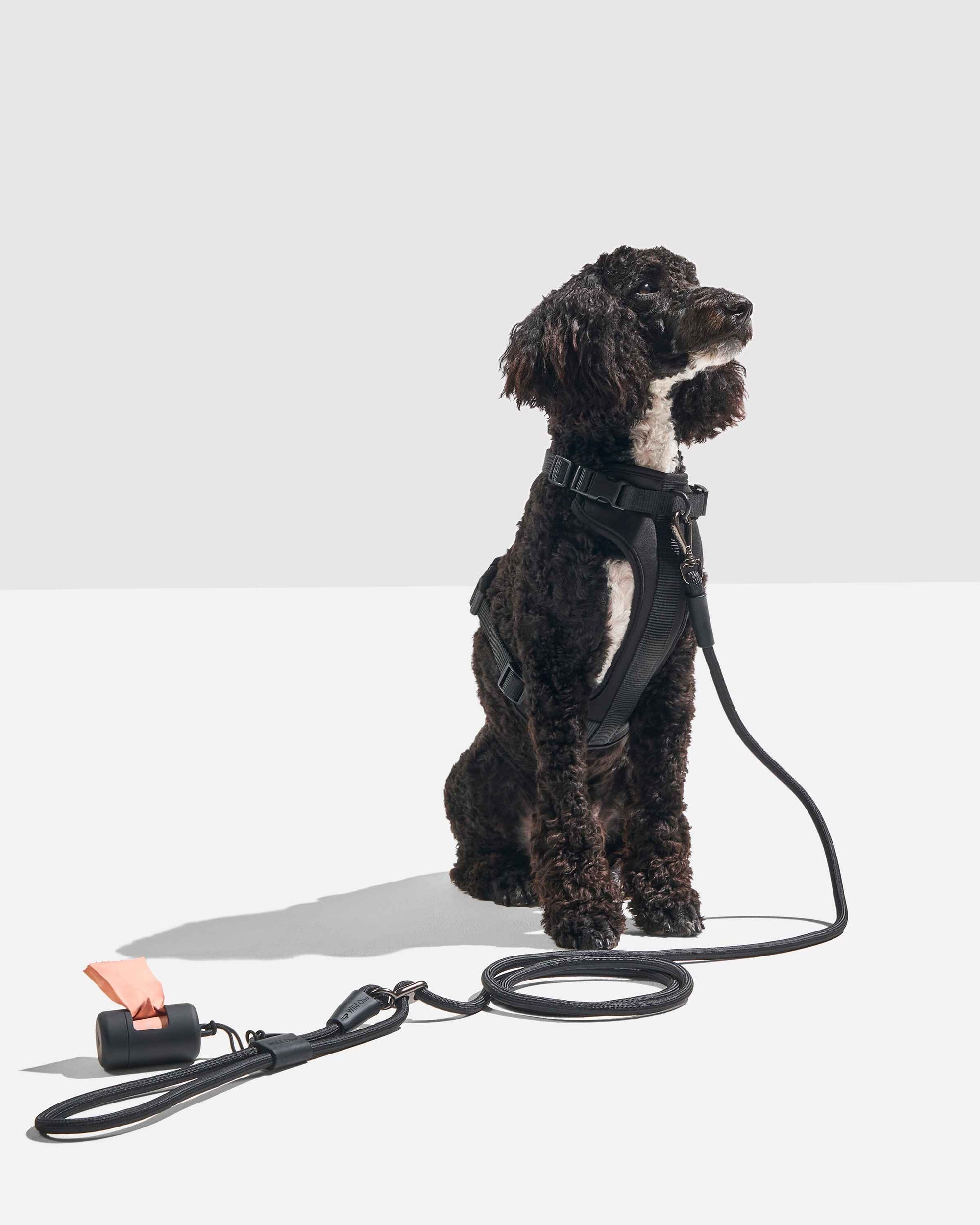 Hands-Free Rope Leash - Pawhearth