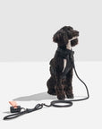 Hands-Free Rope Leash - Pawhearth