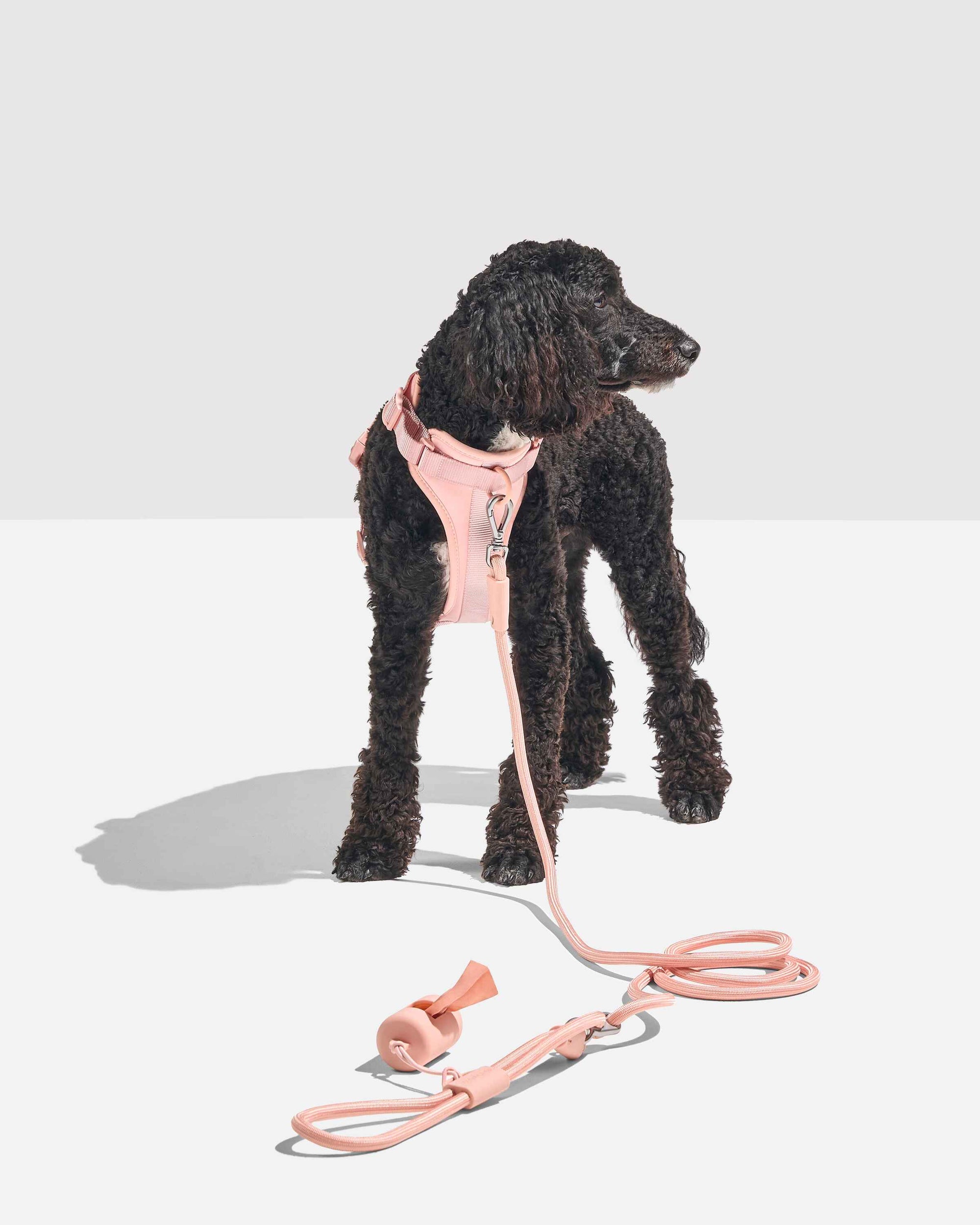 Hands-Free Rope Leash - Pawhearth