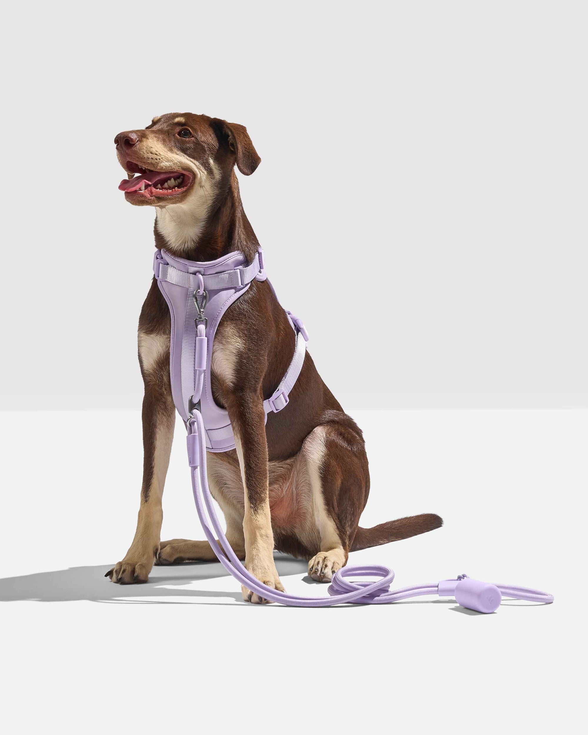 Hands-Free Rope Leash - Pawhearth