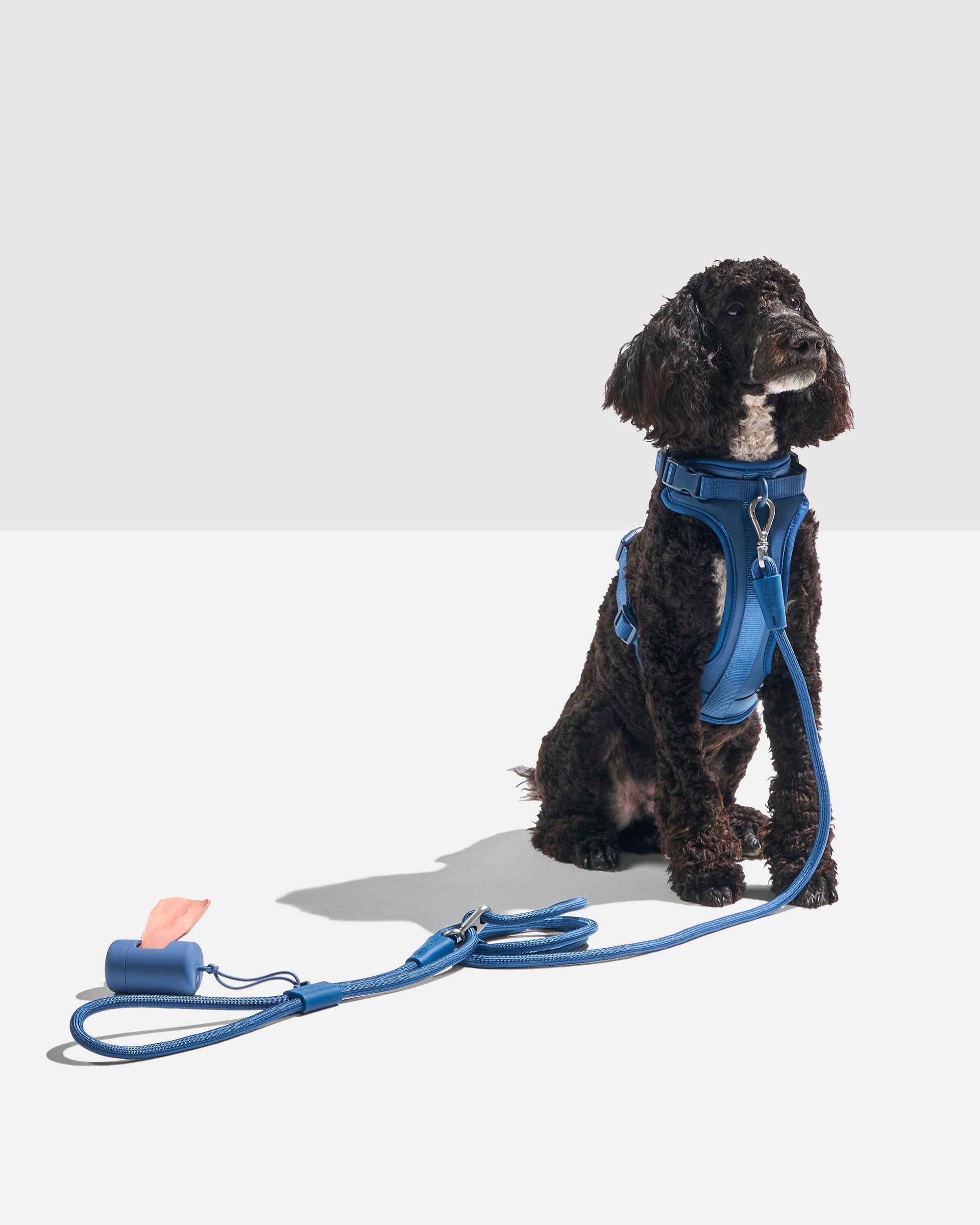 Hands-Free Rope Leash - Pawhearth