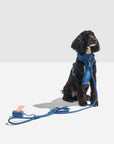 Hands-Free Rope Leash - Pawhearth