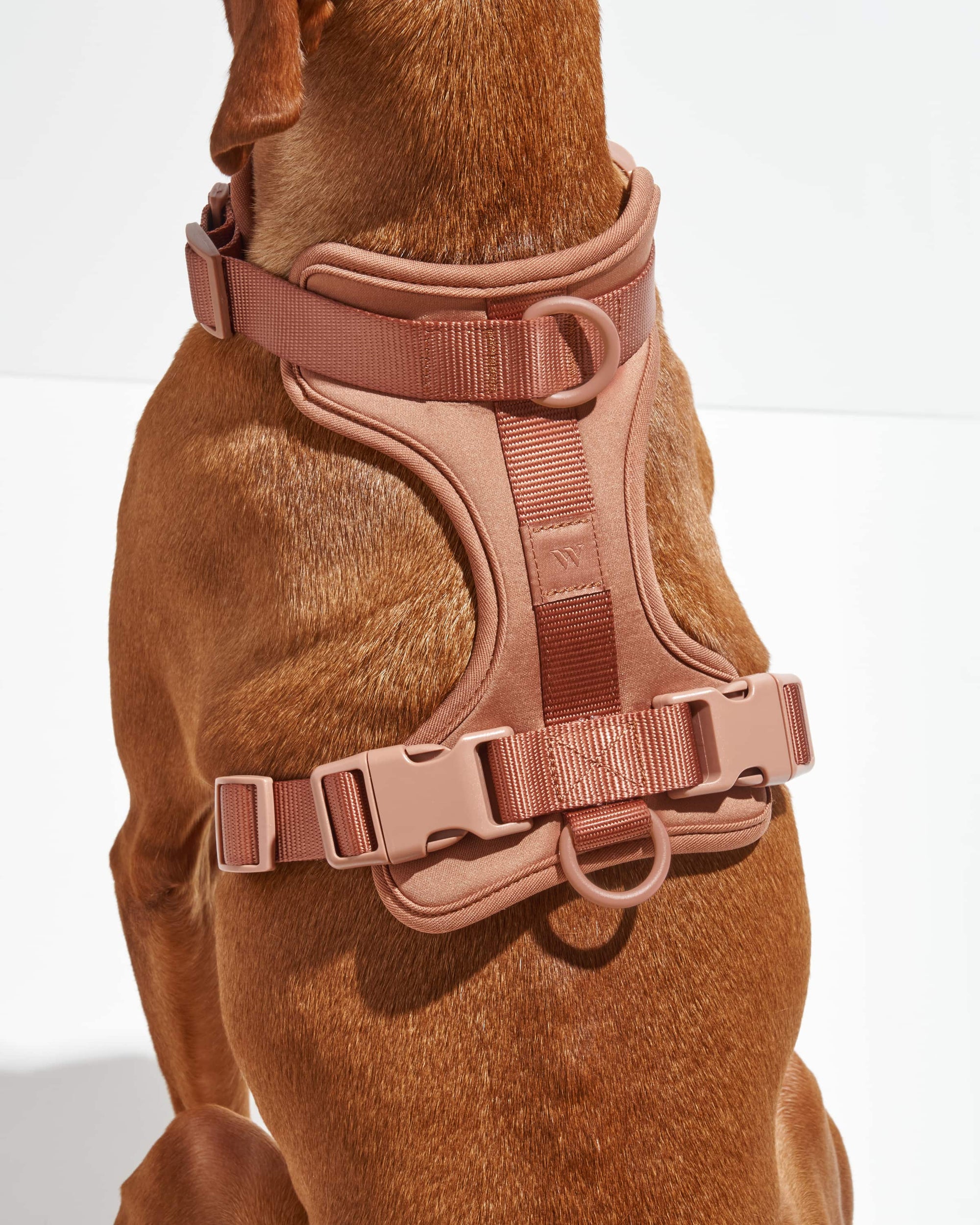 Adjustable Pet Harness – Comfortable &amp; Secure for Dogs &amp; Cats