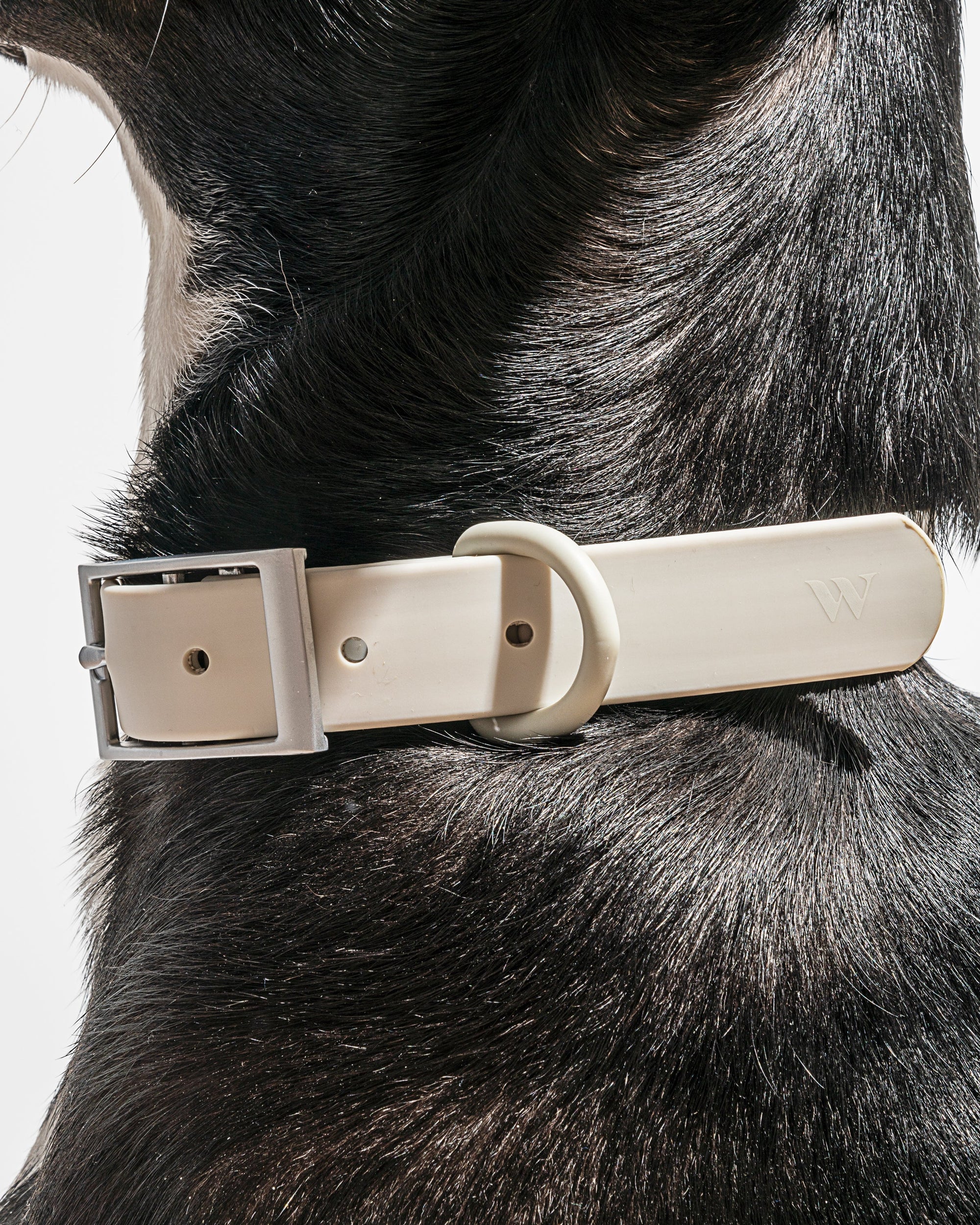 Adjustable Pet Collar – Durable &amp; Comfortable for Dogs &amp; Cats