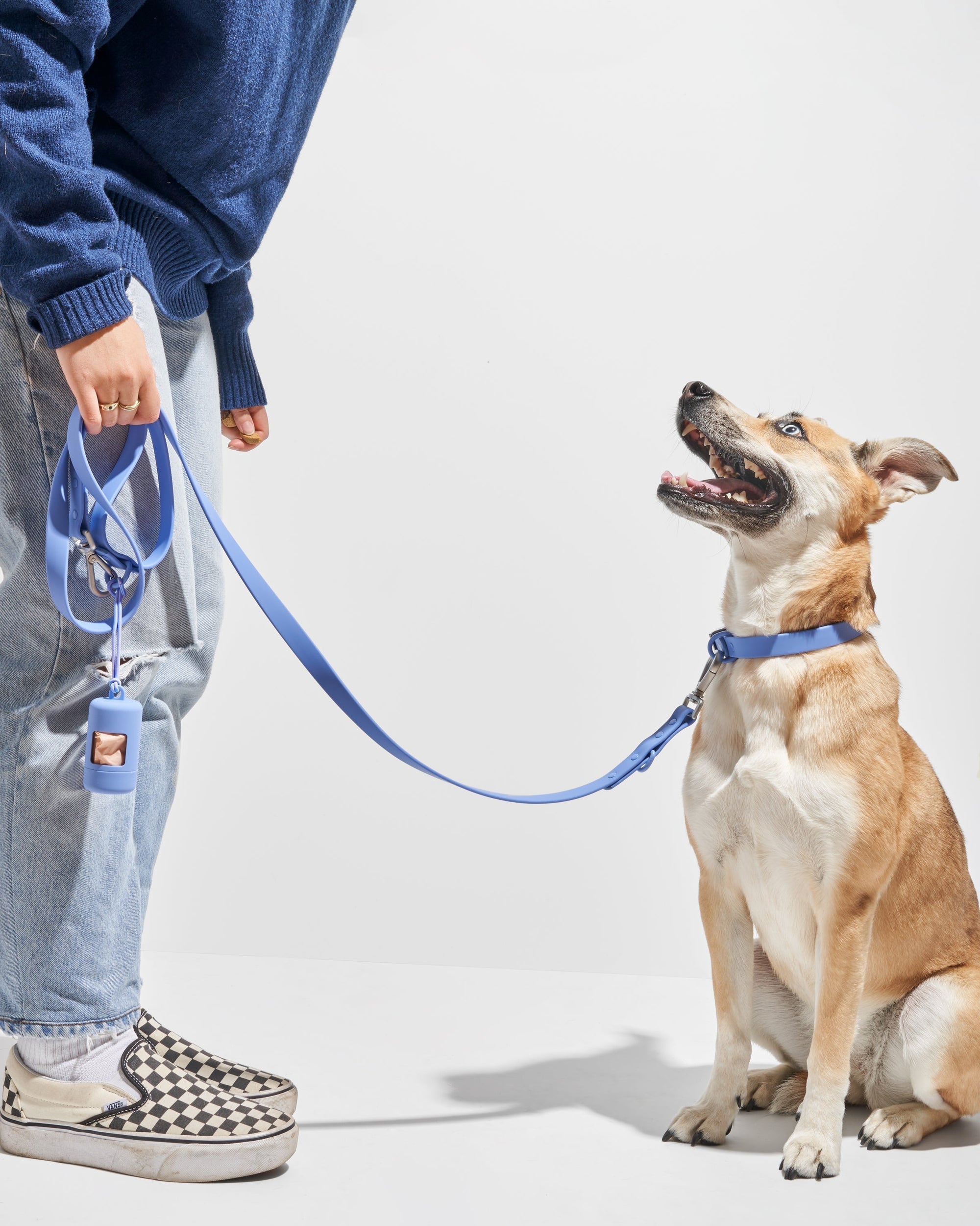 Adjustable Pet Collar – Durable &amp; Comfortable for Dogs &amp; Cats
