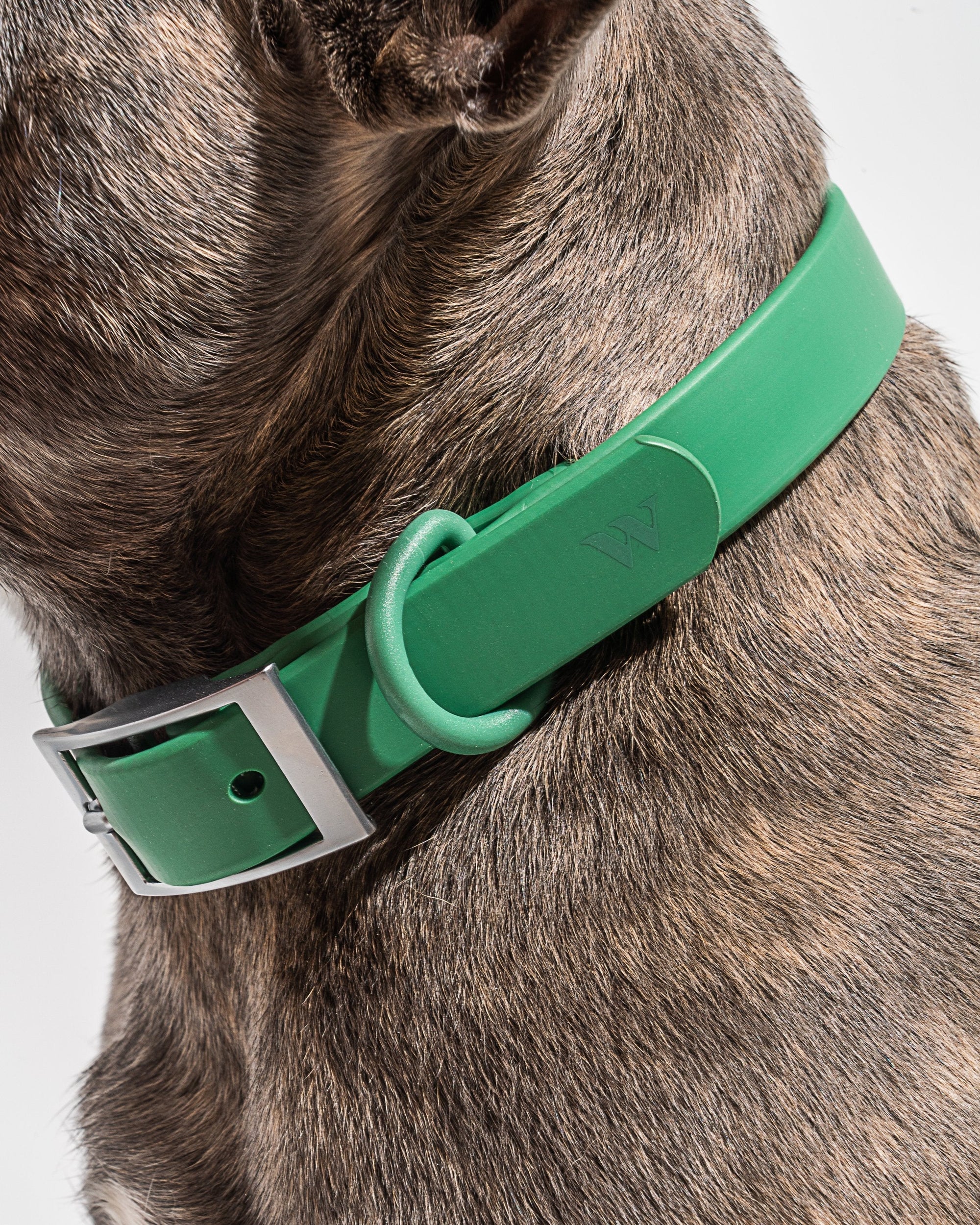 Adjustable Pet Collar – Durable &amp; Comfortable for Dogs &amp; Cats