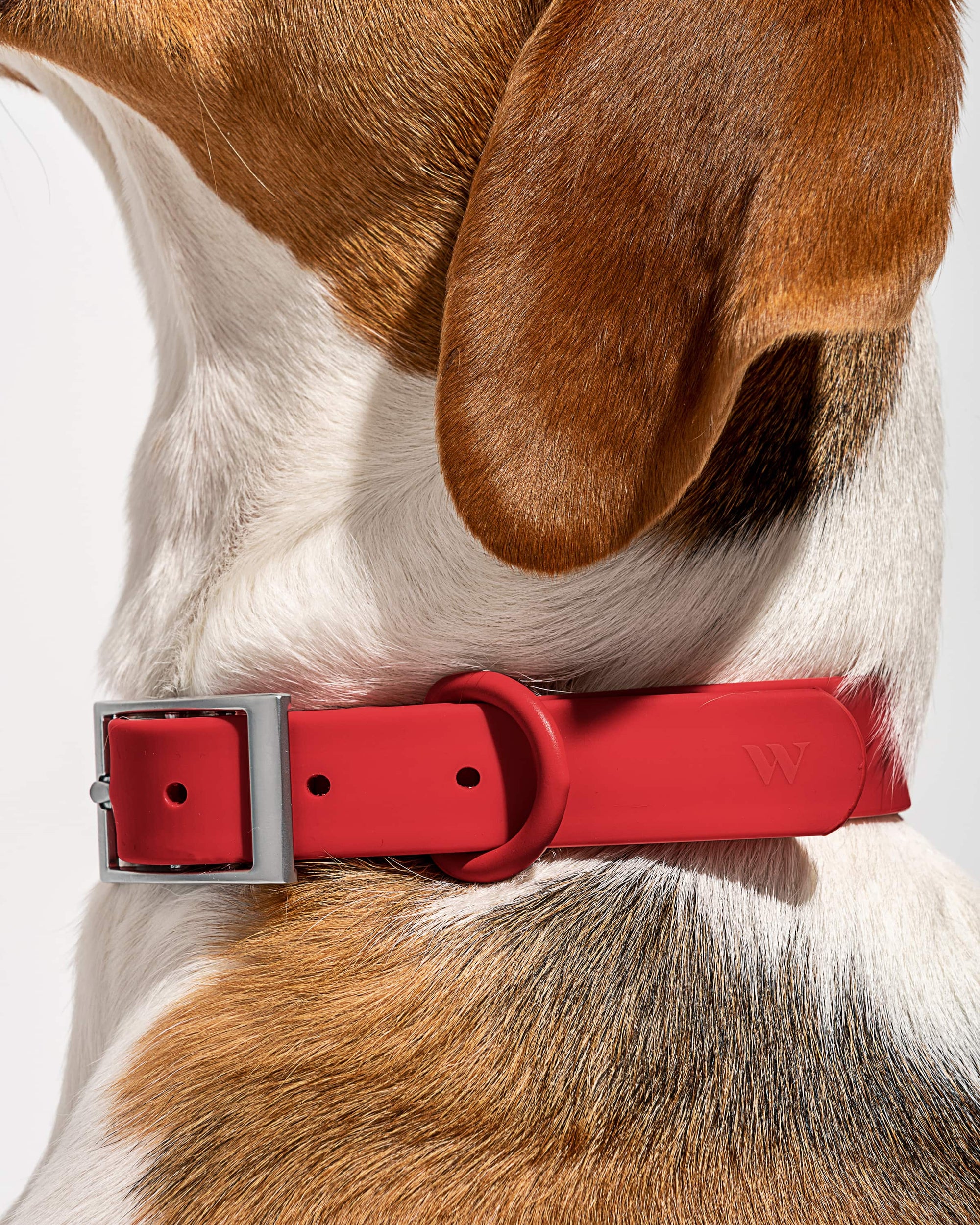 Adjustable Pet Collar – Durable &amp; Comfortable for Dogs &amp; Cats