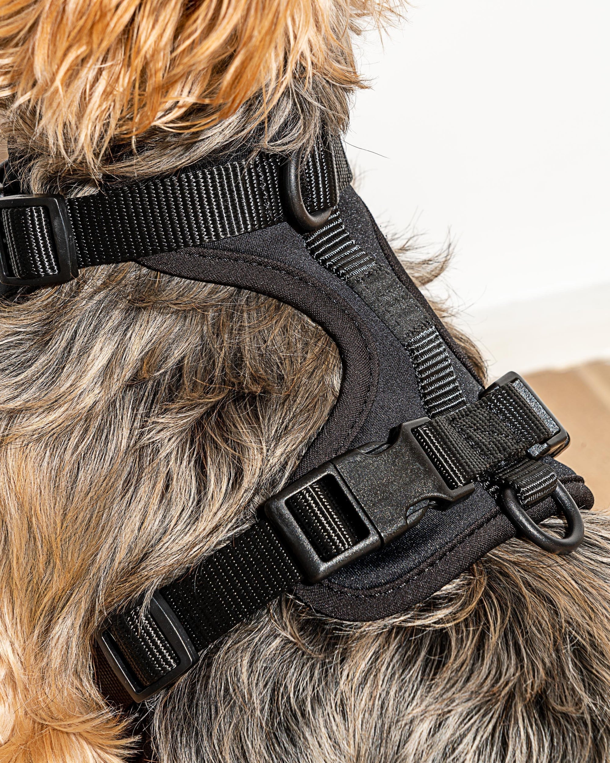 Adjustable Pet Harness – Comfortable &amp; Secure for Dogs &amp; Cats