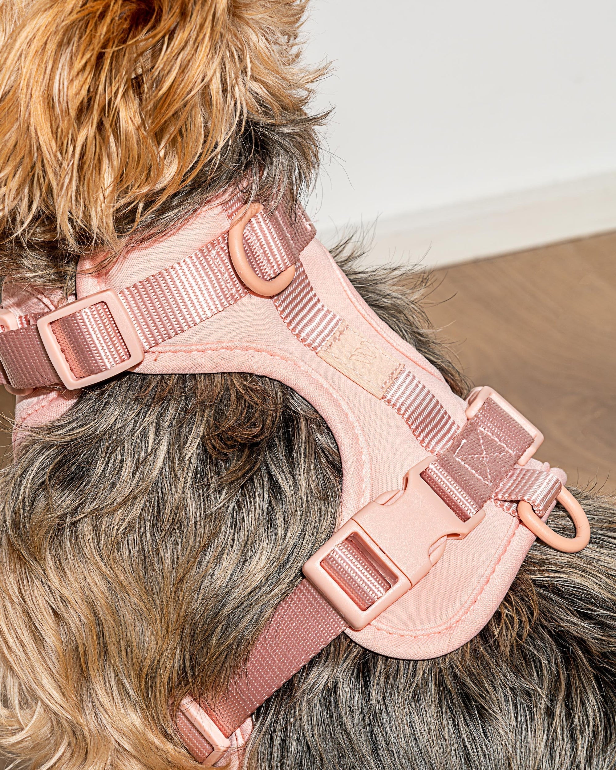 Adjustable Pet Harness – Comfortable &amp; Secure for Dogs &amp; Cats
