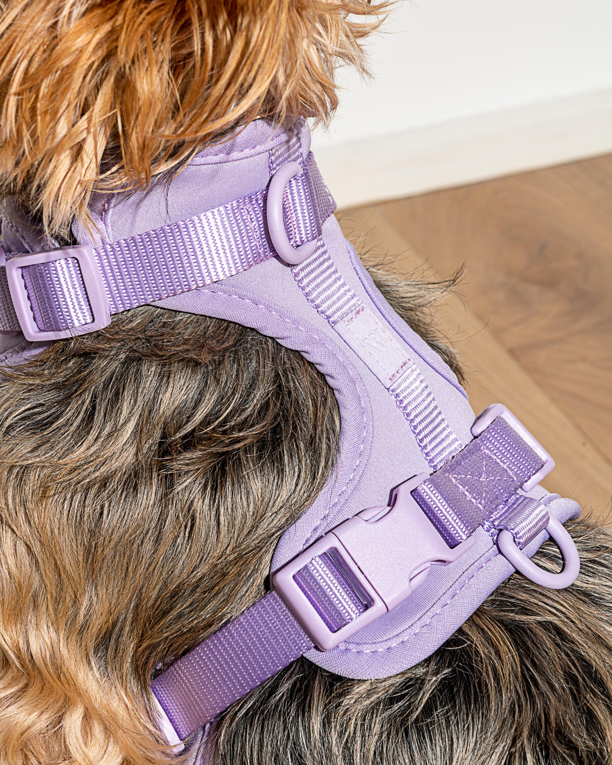 Adjustable Pet Harness – Comfortable &amp; Secure for Dogs &amp; Cats